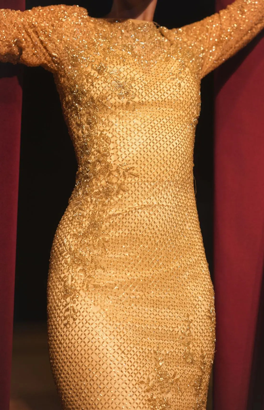 Gold Long Sleeve Embellished Gown - Mac Duggal