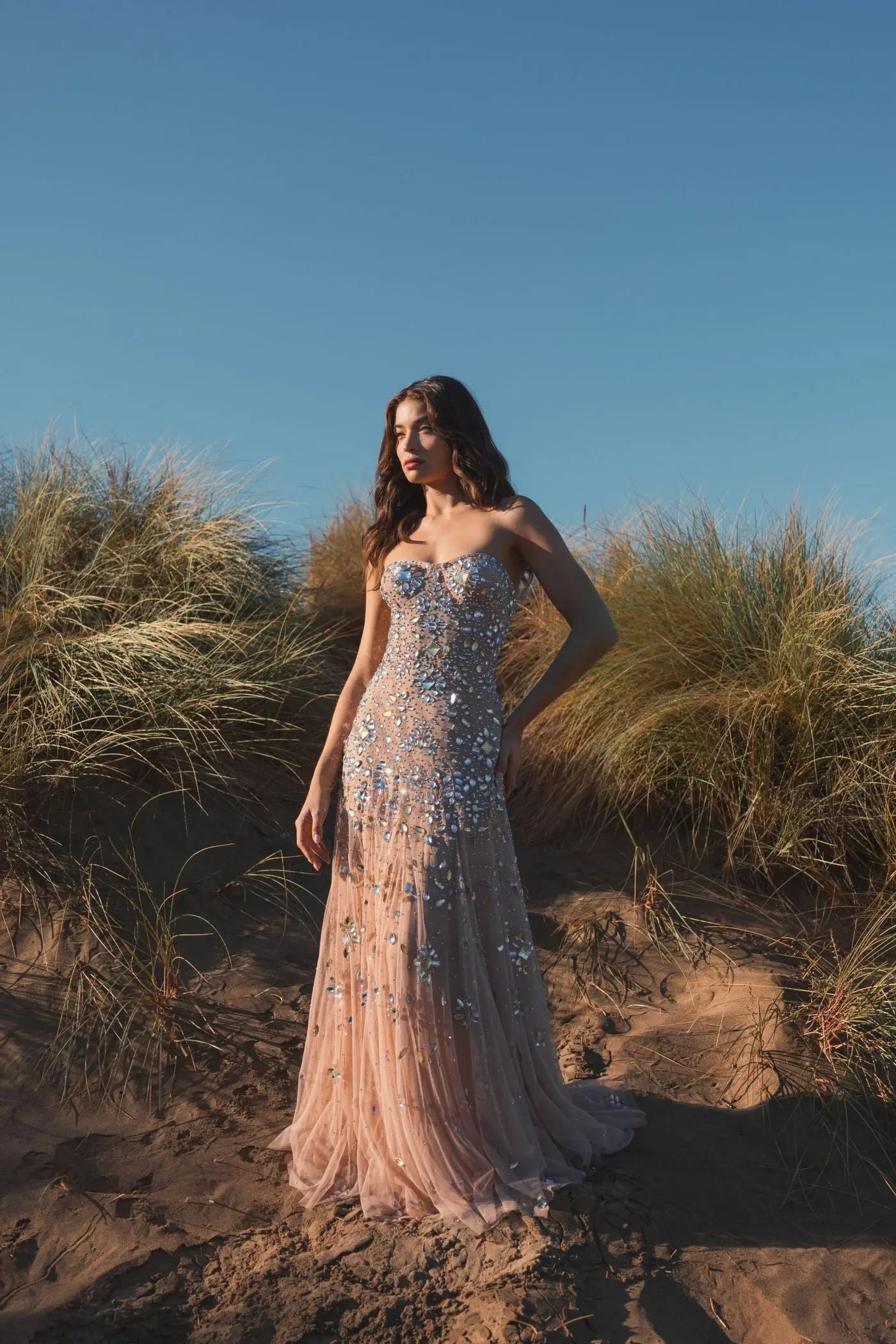 Pink Strapless Sweetheart Embellished Net Gown Pink Strapless Sweetheart Embellished Net Gown