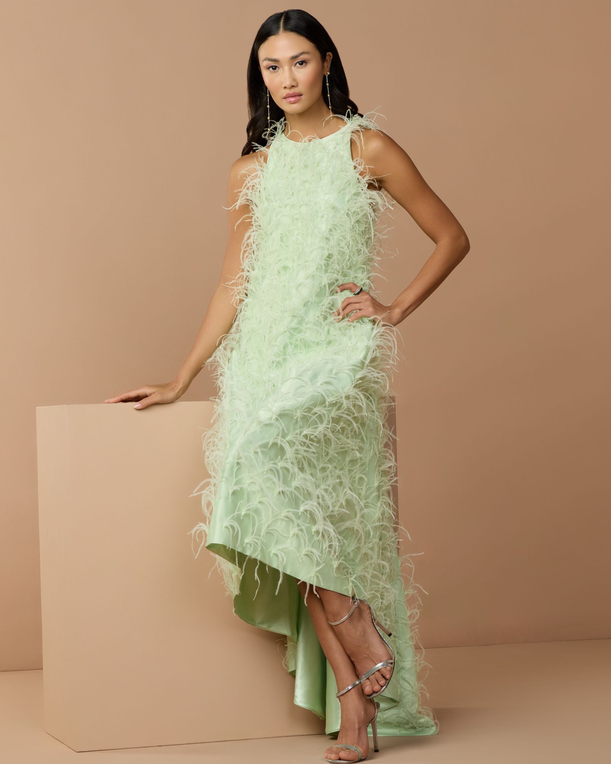 Green Sleeveless Feather Embellished Trapeze Gown