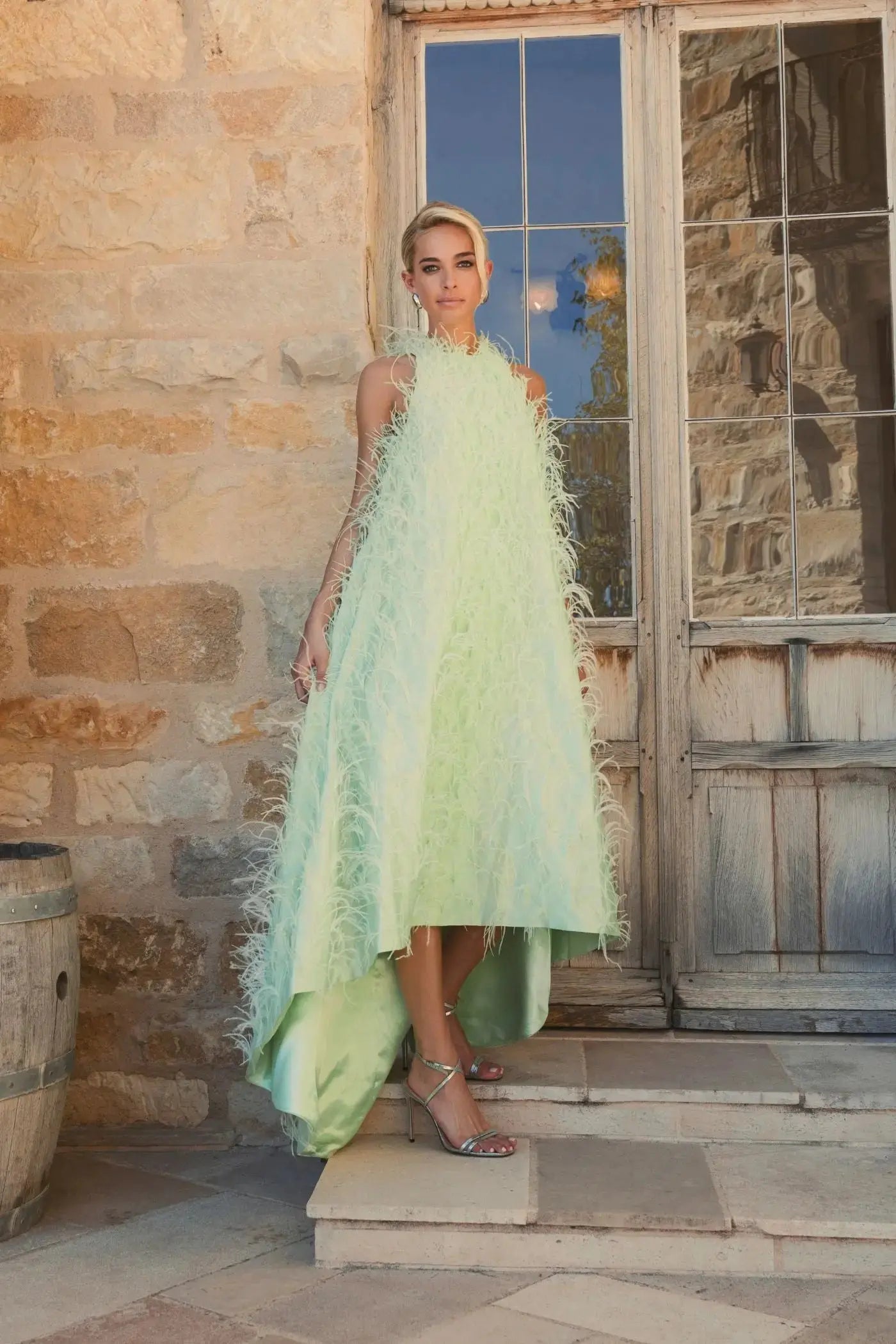 Green Sleeveless Feather Embellished Trapeze Gown - Mac Duggal