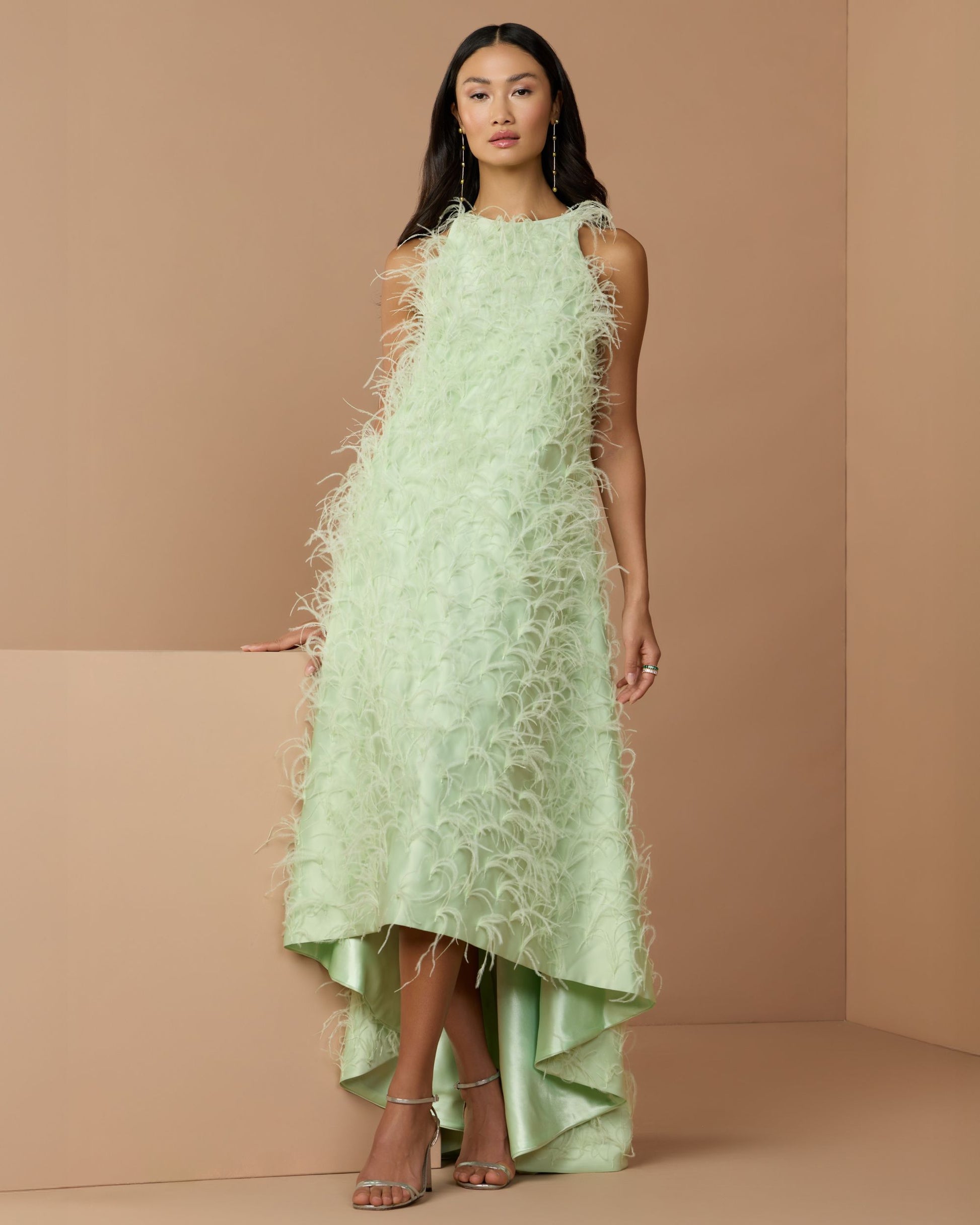 Green Sleeveless Feather Embellished Trapeze Gown | Mac Duggal Green Sleeveless Feather Embellished Trapeze Gown | Mac Duggal