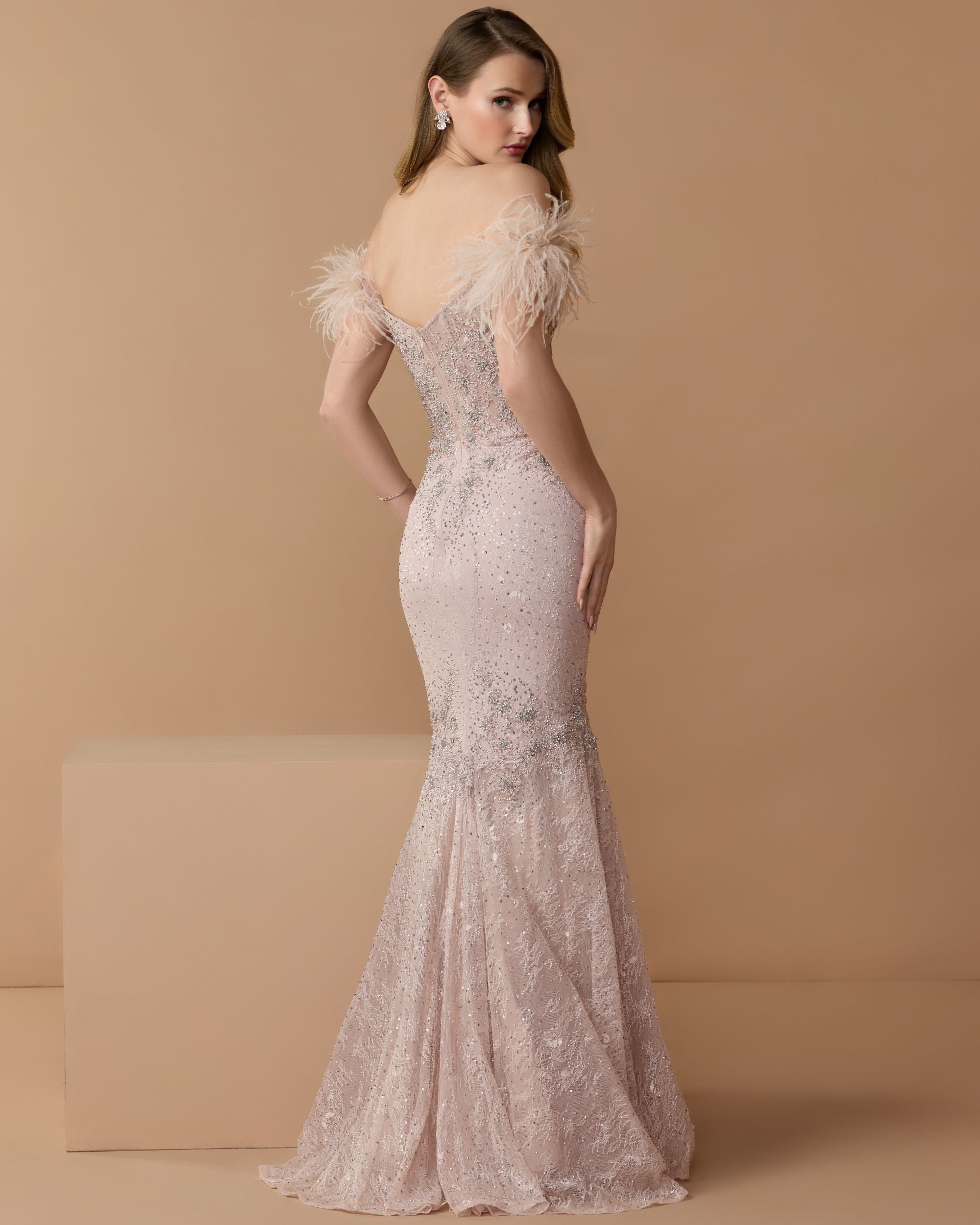 Pink Feathered Crystal Embellished Sleeveless Gown