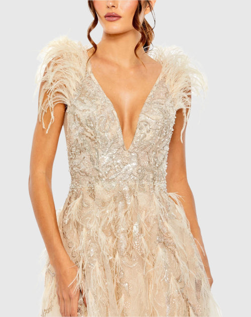 Embellished Feathered Sleeveless A Line Gown