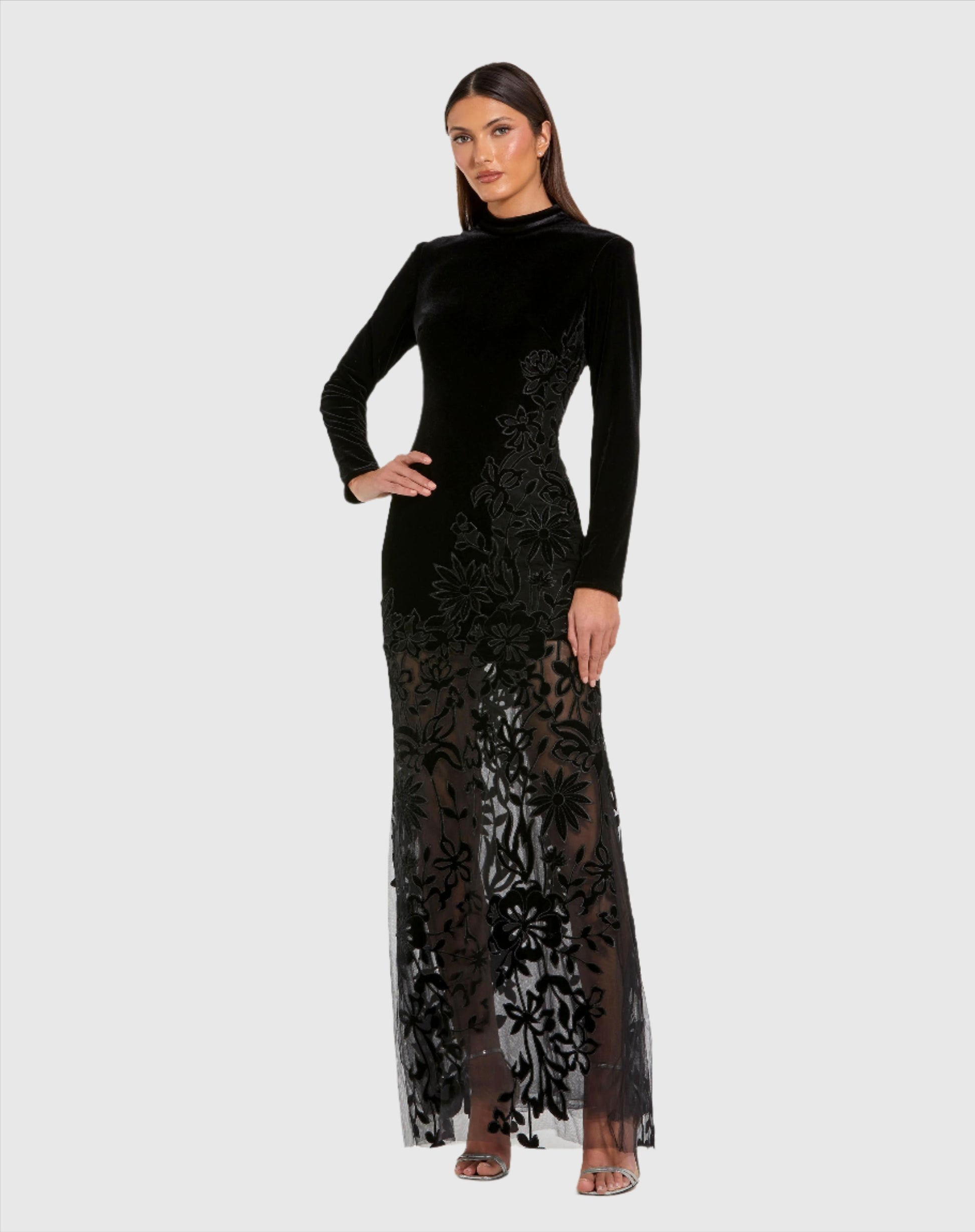 Long Sleeve Sheer Floral Embroidered Velvet Gown