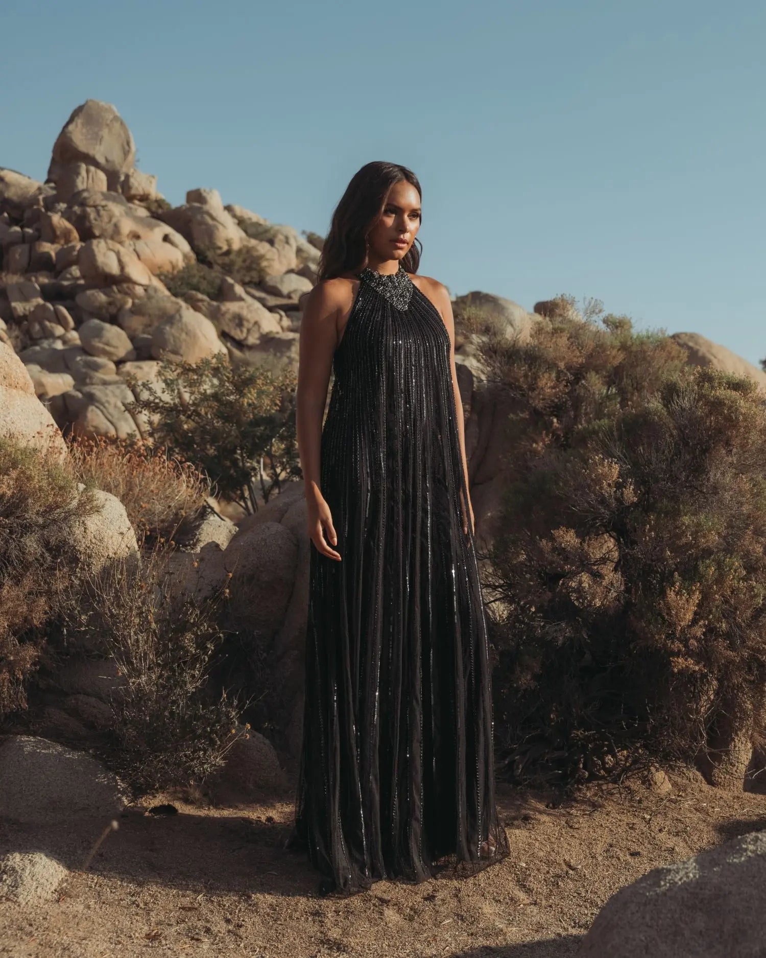 Mac Duggal - Black Sleeveless Halter Neck Embellished Trapeze Gown