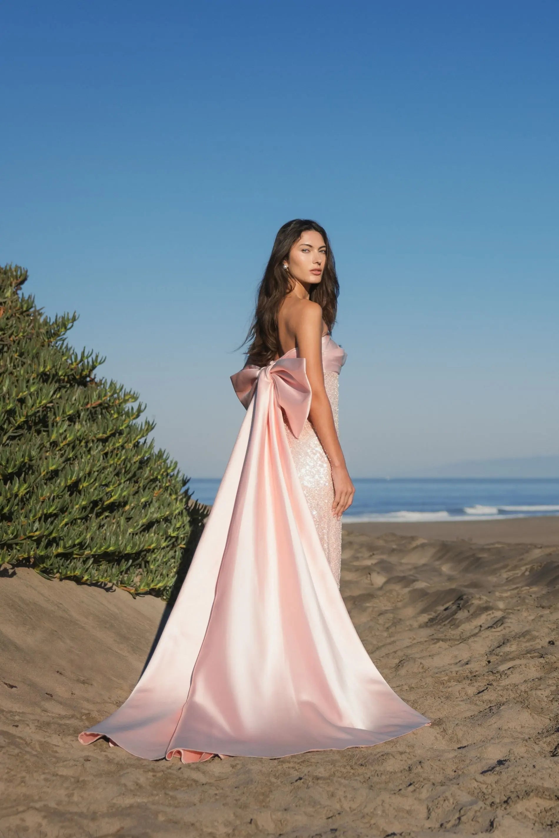 Pink Strapless Embellished Gown With Back Bow Detail Pink Strapless Embellished Gown With Back Bow Detail