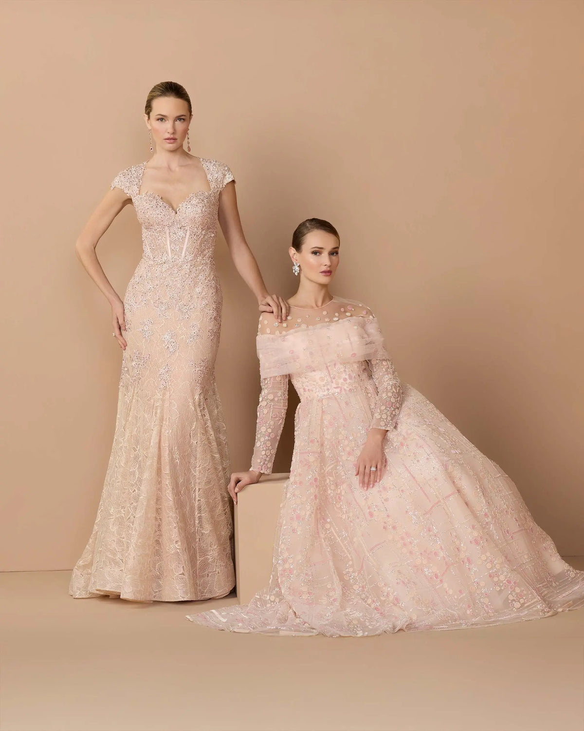 Blush Embroidered Lace Mermaid Gown With Cap Sleeves - Mac Duggal