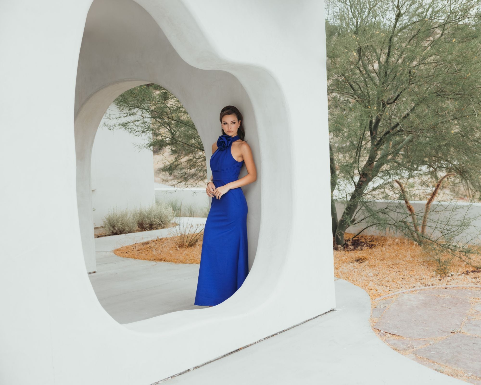 Pink Embroidered Illusion Appliqued Bodice Trumpet Gown