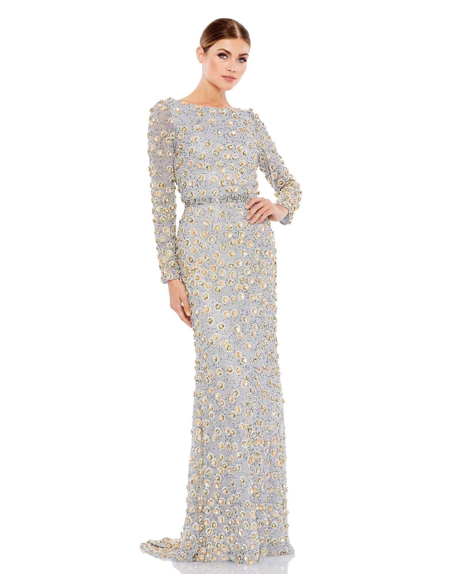 Embellished Long Sleeve High Neck Gown