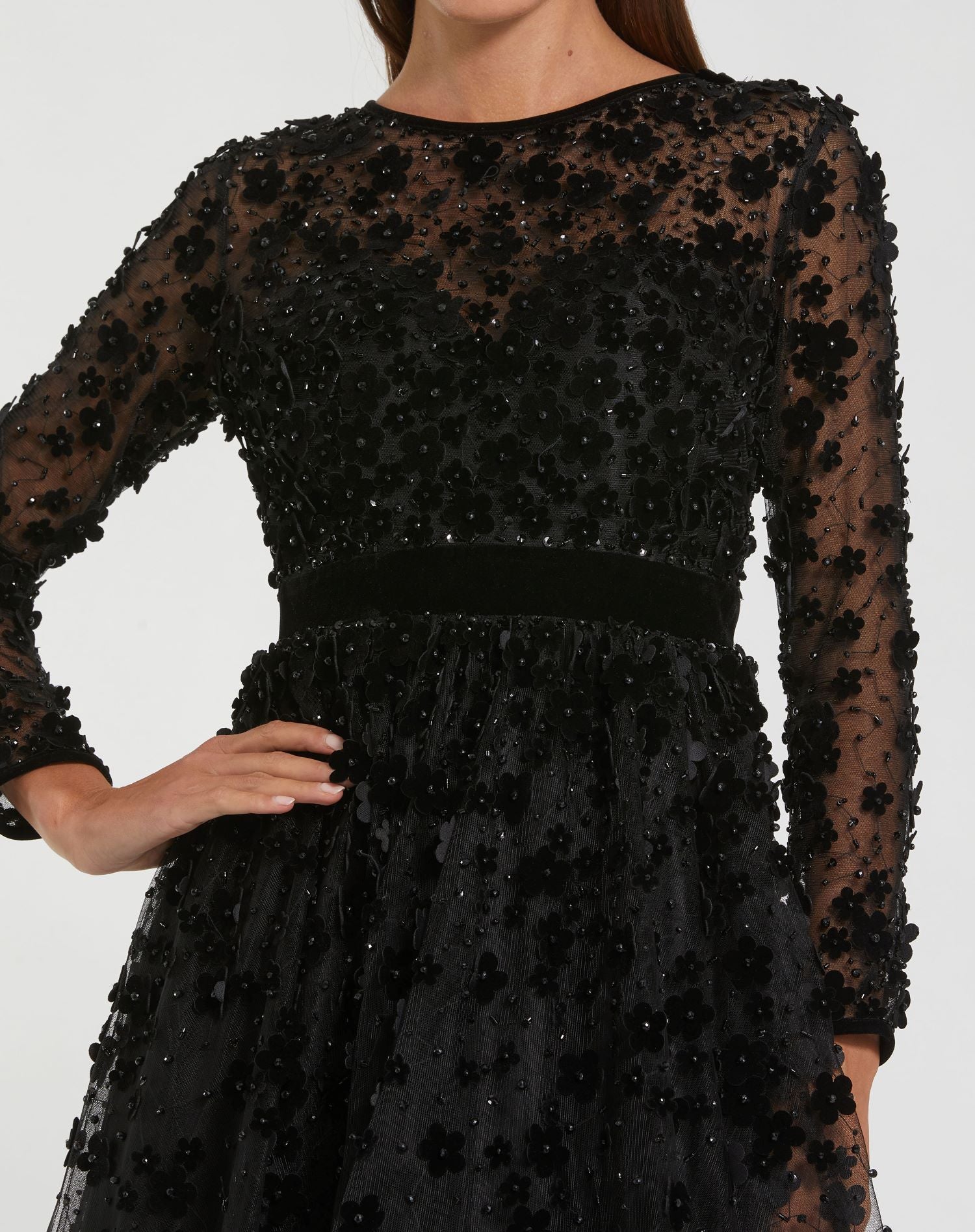 Embellished Illusion High Neck Long Sleeve Fit & Flare Dress