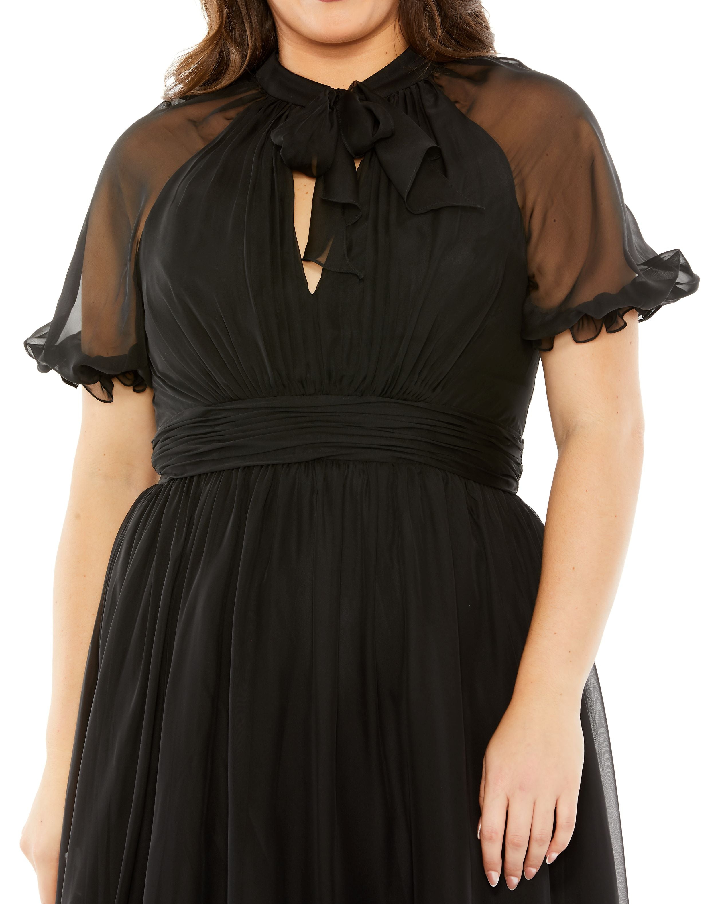 Sheer Puff Sleeve Gown