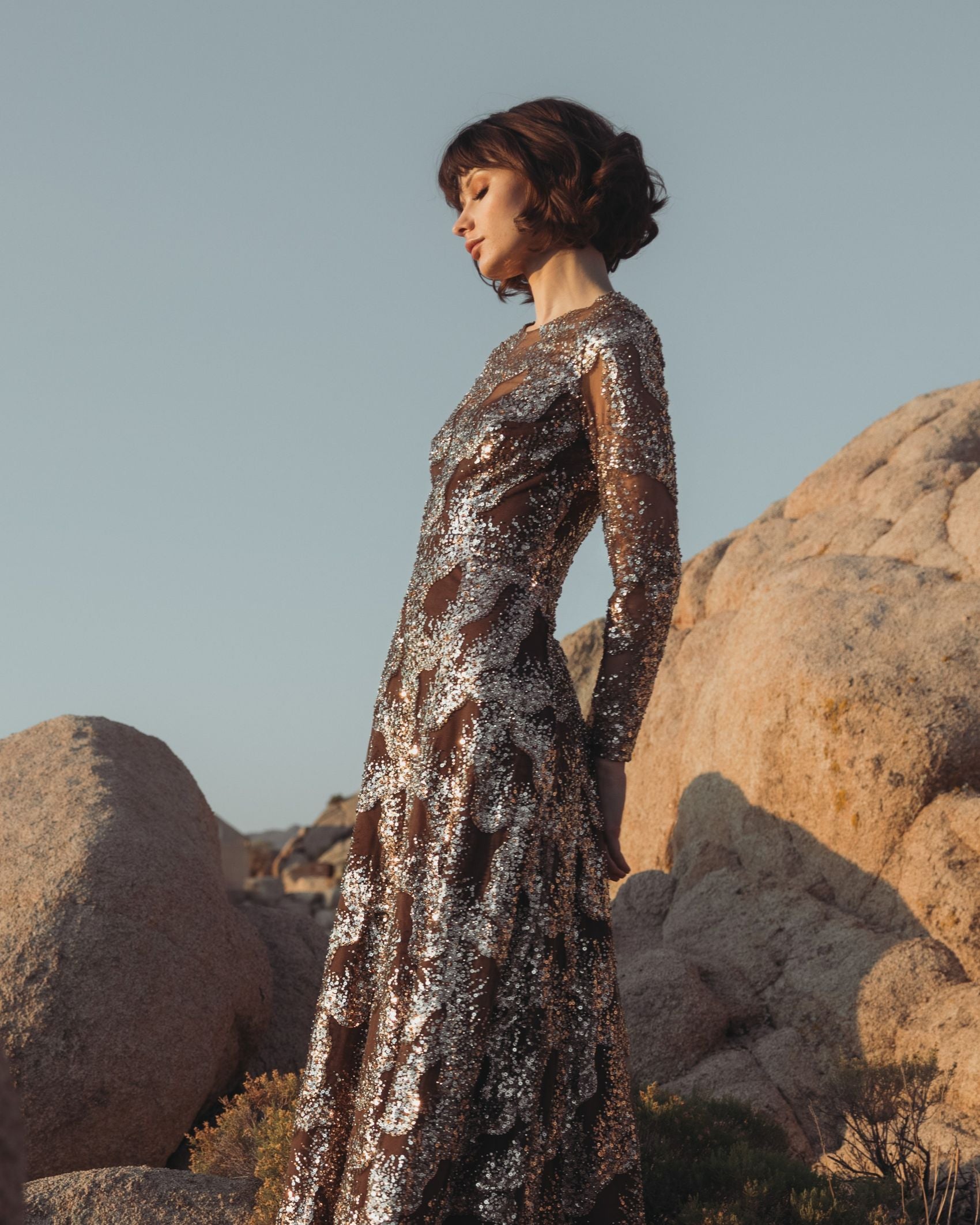 Brown Embellished Long Sleeve High Neck Evening Gown - Mac Duggal