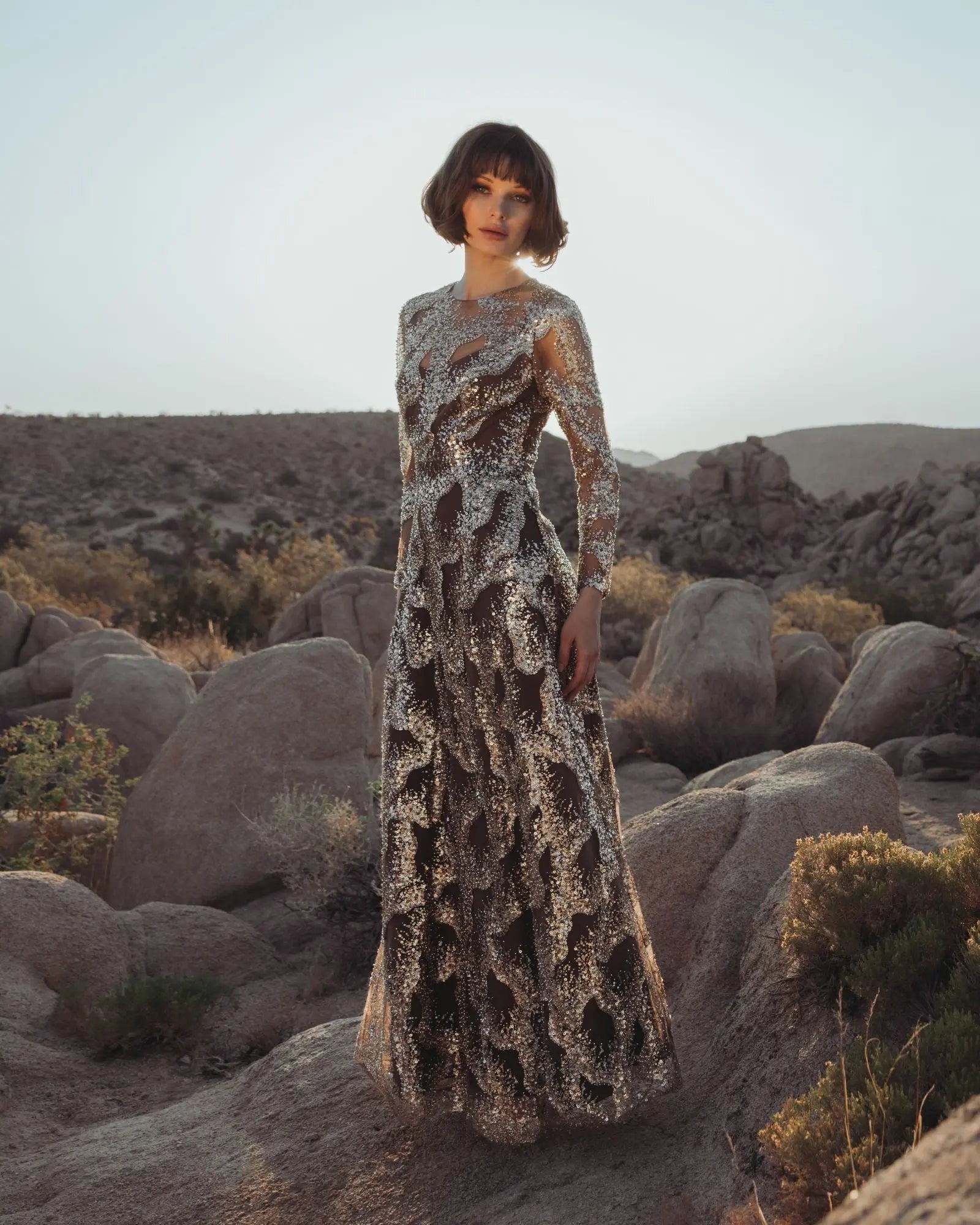 Brown Embellished Long Sleeve High Neck Evening Gown | Mac Duggal