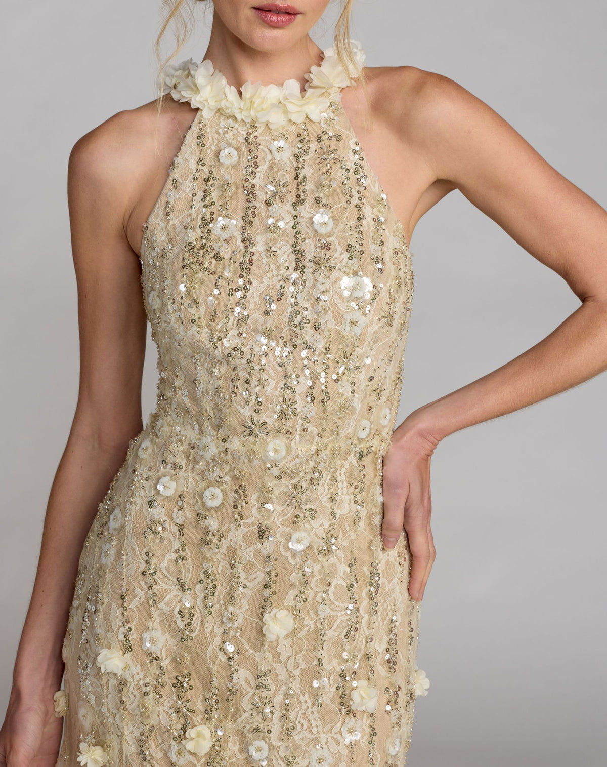 Butter Embellished Lace Halter Neck Mermaid Gown - Mac Duggal
