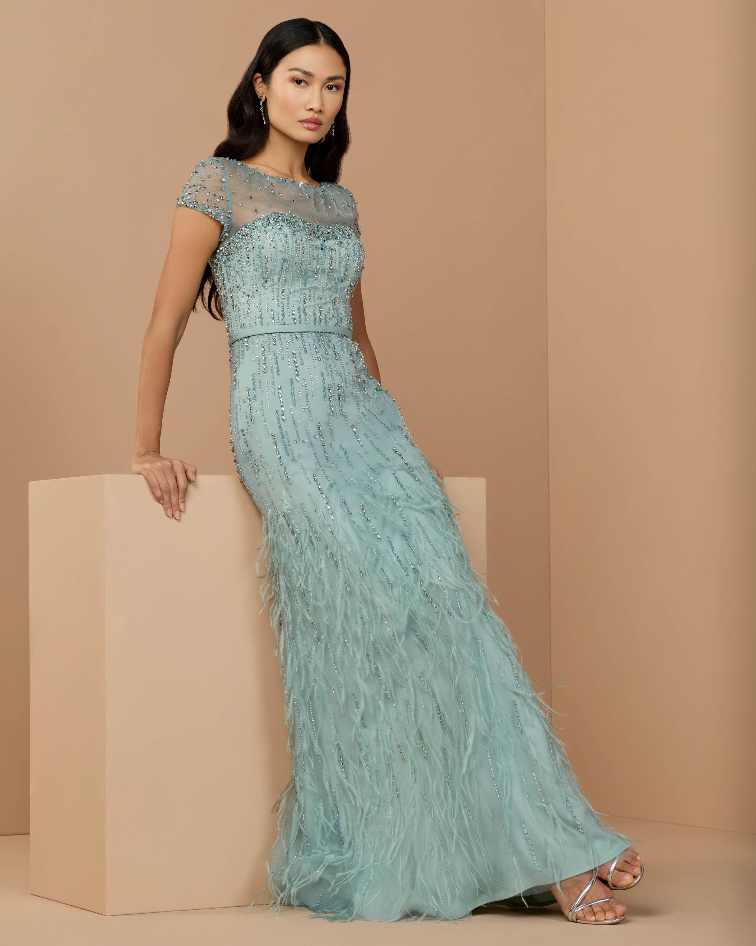 Blue Embellished Short Sleeve Feather Gown