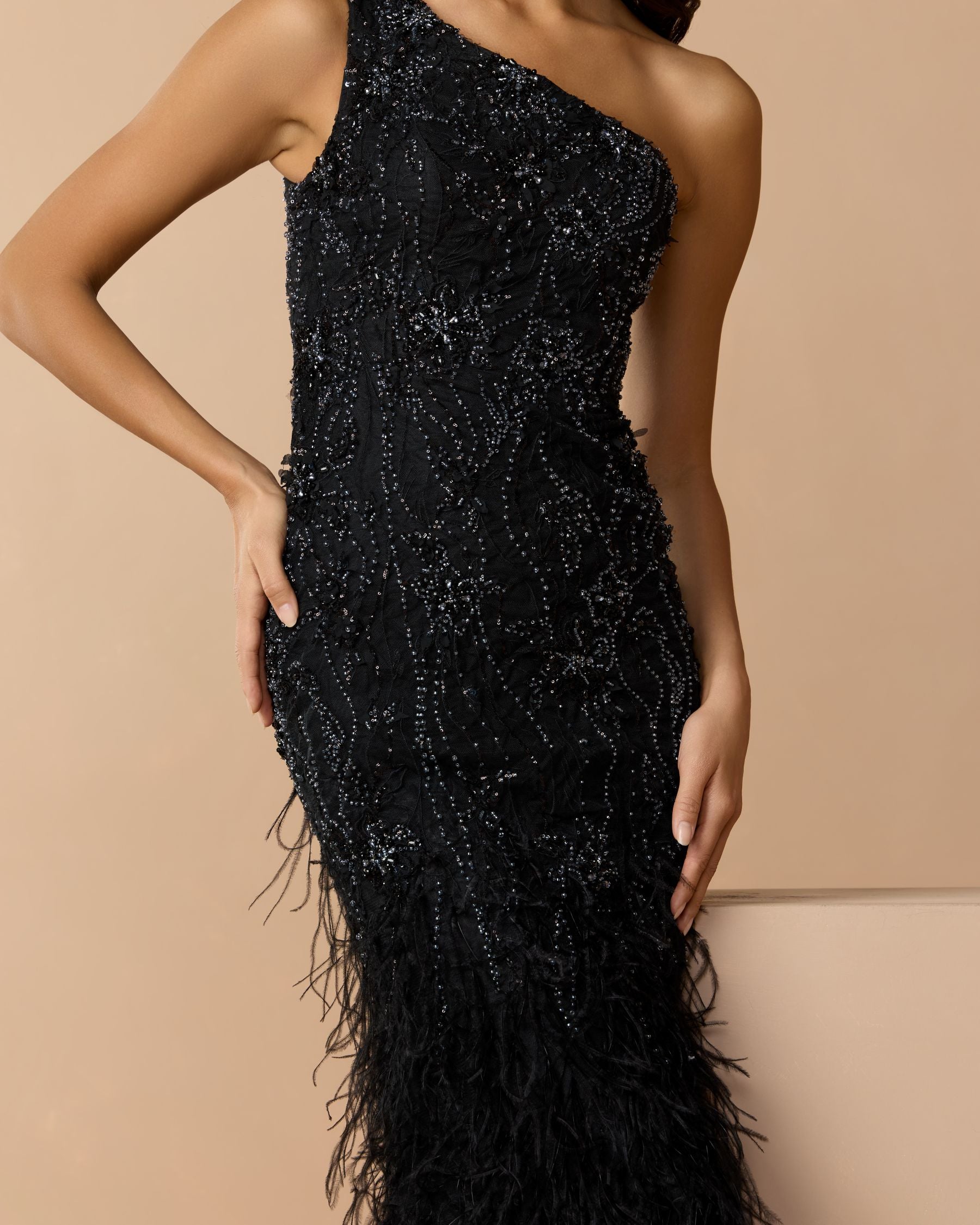 Black Embellished Lace One Shoulder Feather Gown - Mac Duggal