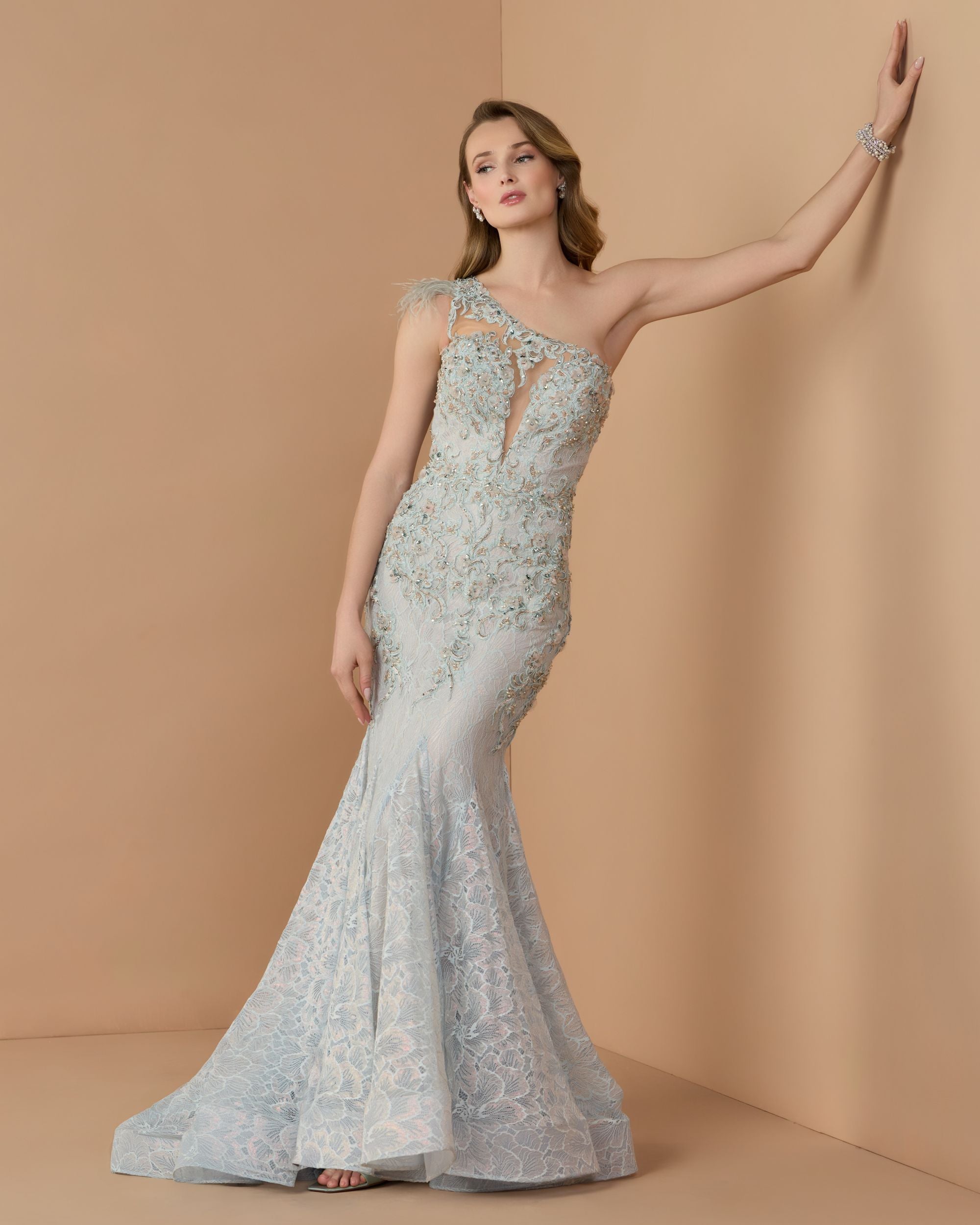 Embroidered Applique Feathered One Shoulder Trumpet Gown