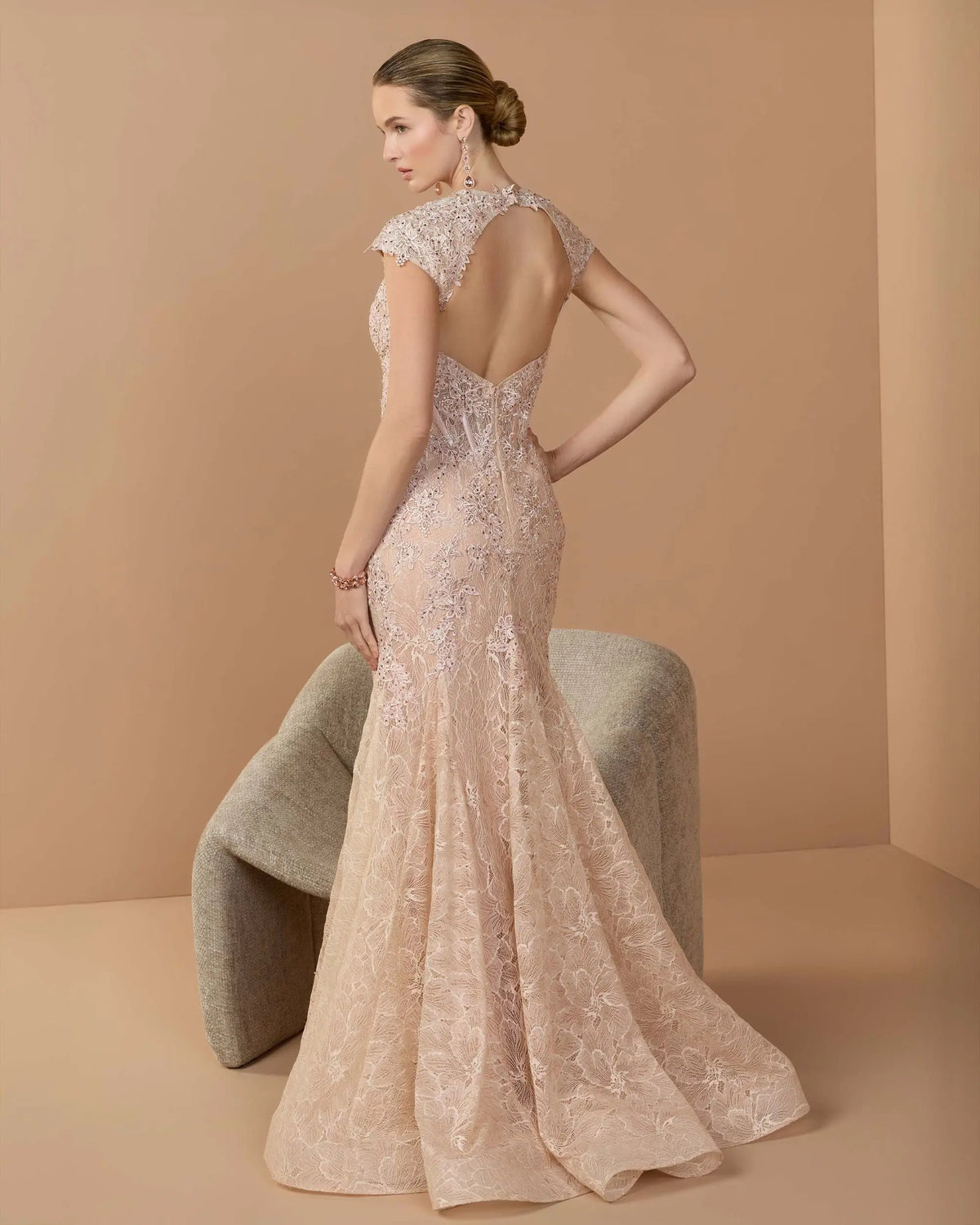 Blush Embroidered Lace Mermaid Gown With Cap Sleeves - Mac Duggal