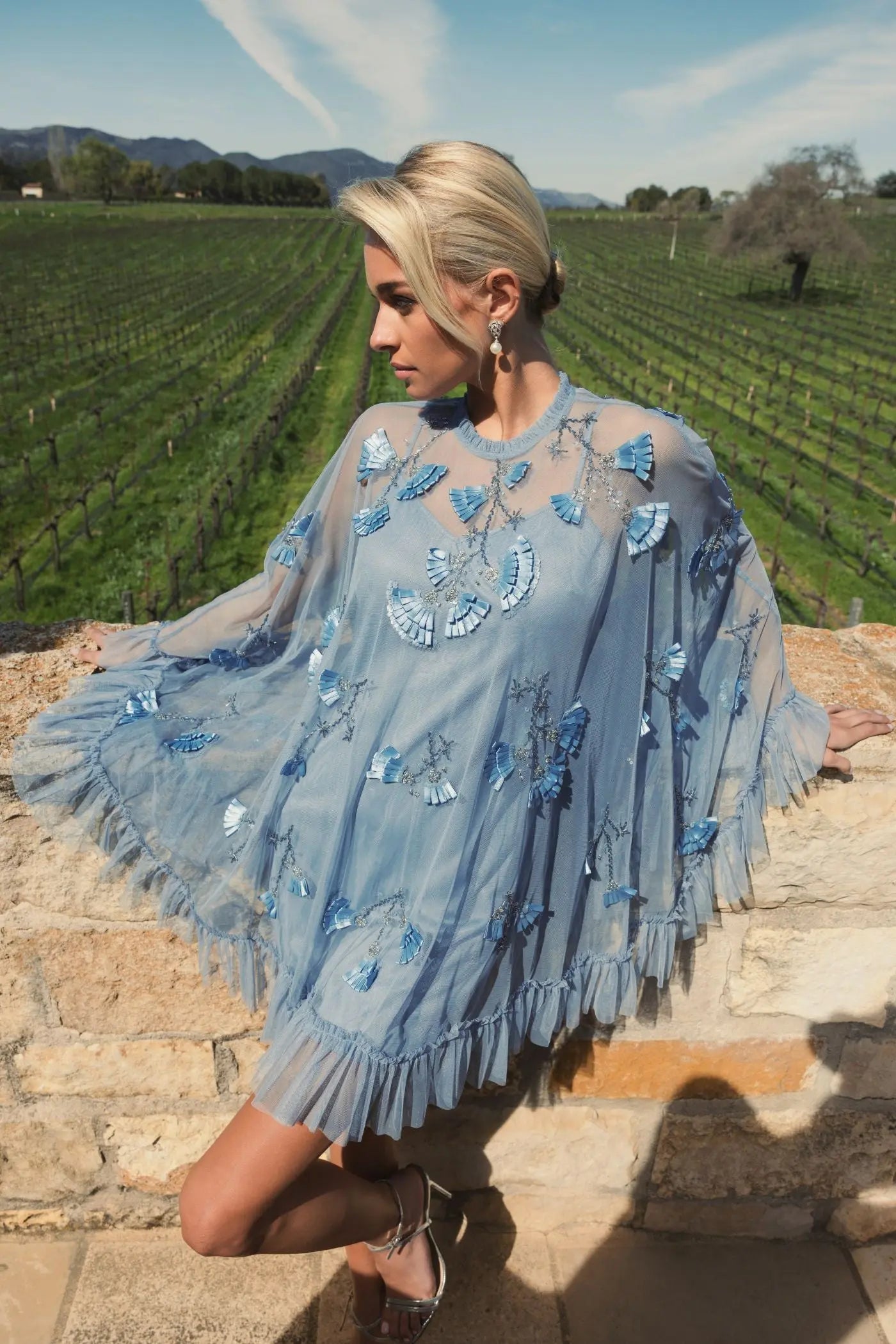 Blue Embellished Long Flare Sleeve Mesh Trapeze Dress - Mac Duggal