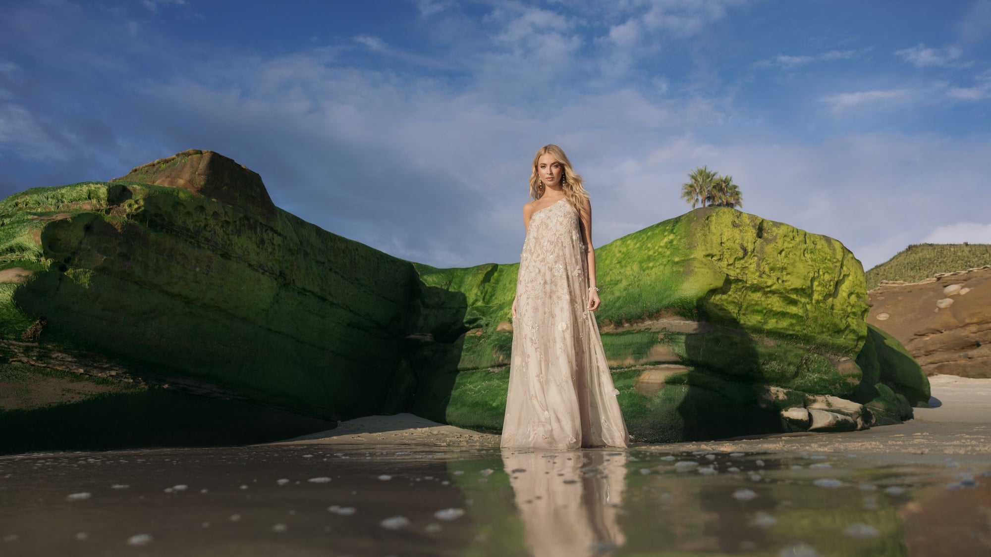 Spring 2026 Collection | Mac Duggal Spring 2026 Collection | Mac Duggal