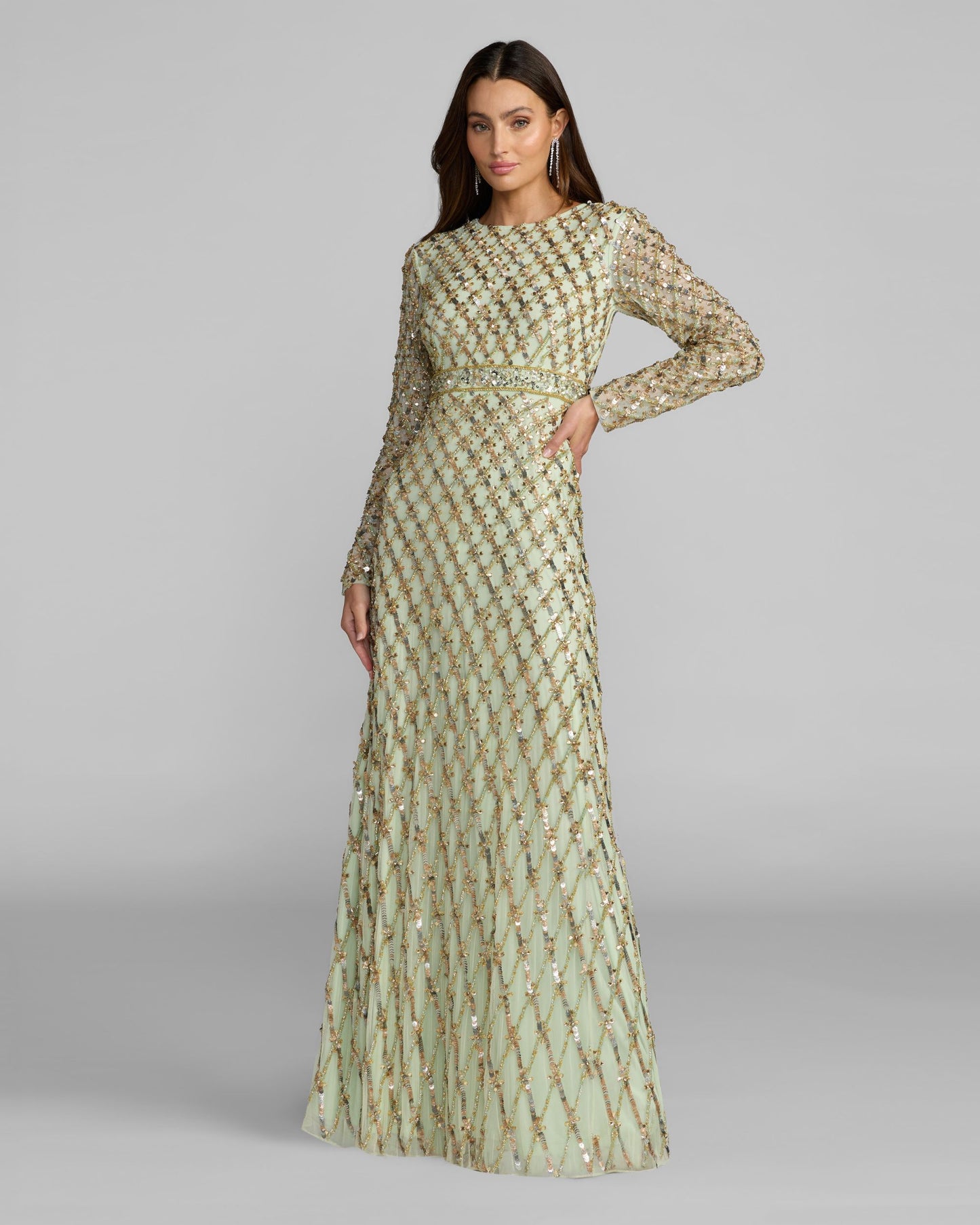 Sage Green Long Sleeve High Neck Embellished Gown