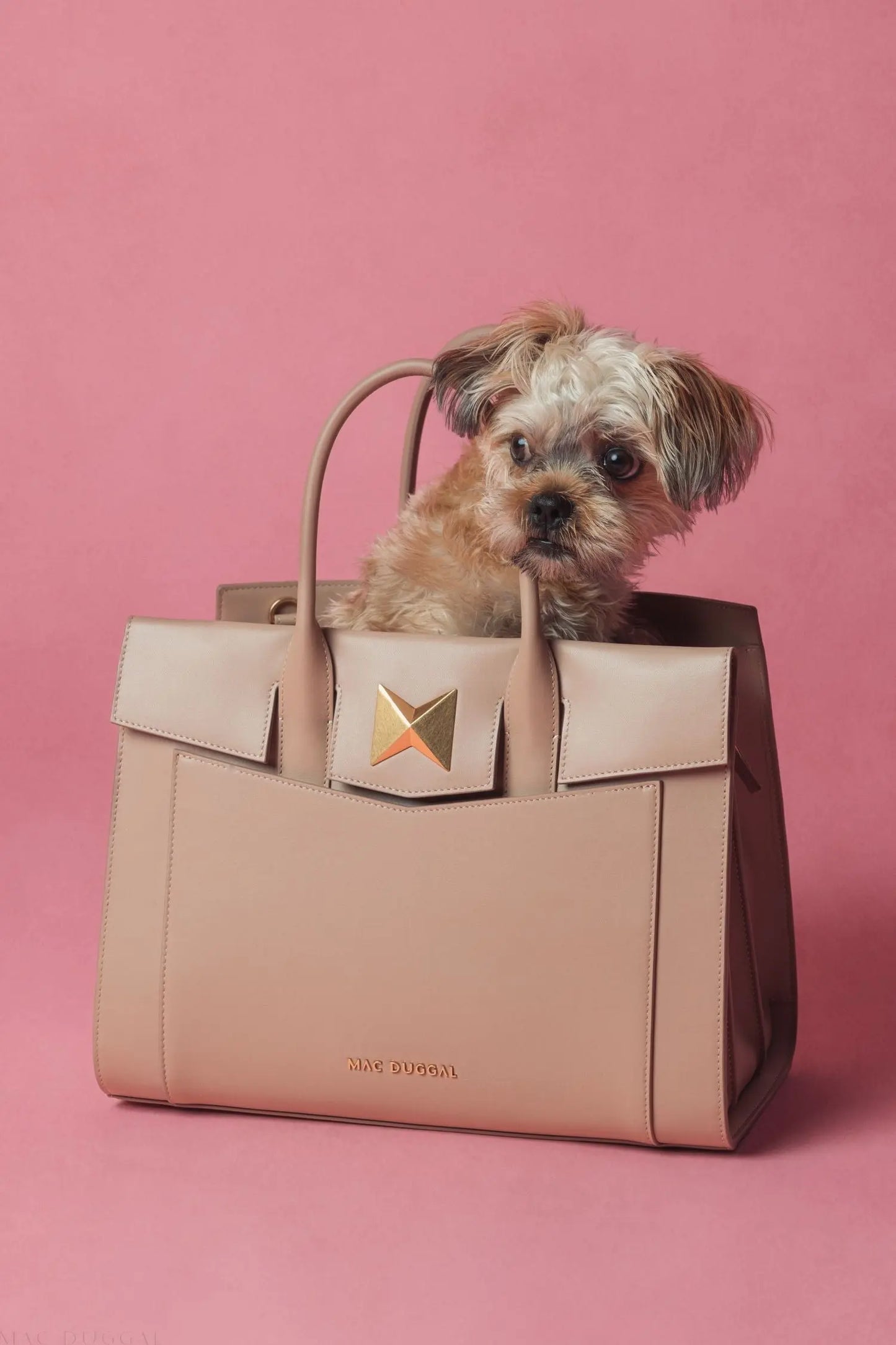 Beige Large Leather Briefcase Bag With Gold Hardware - Mac Duggal