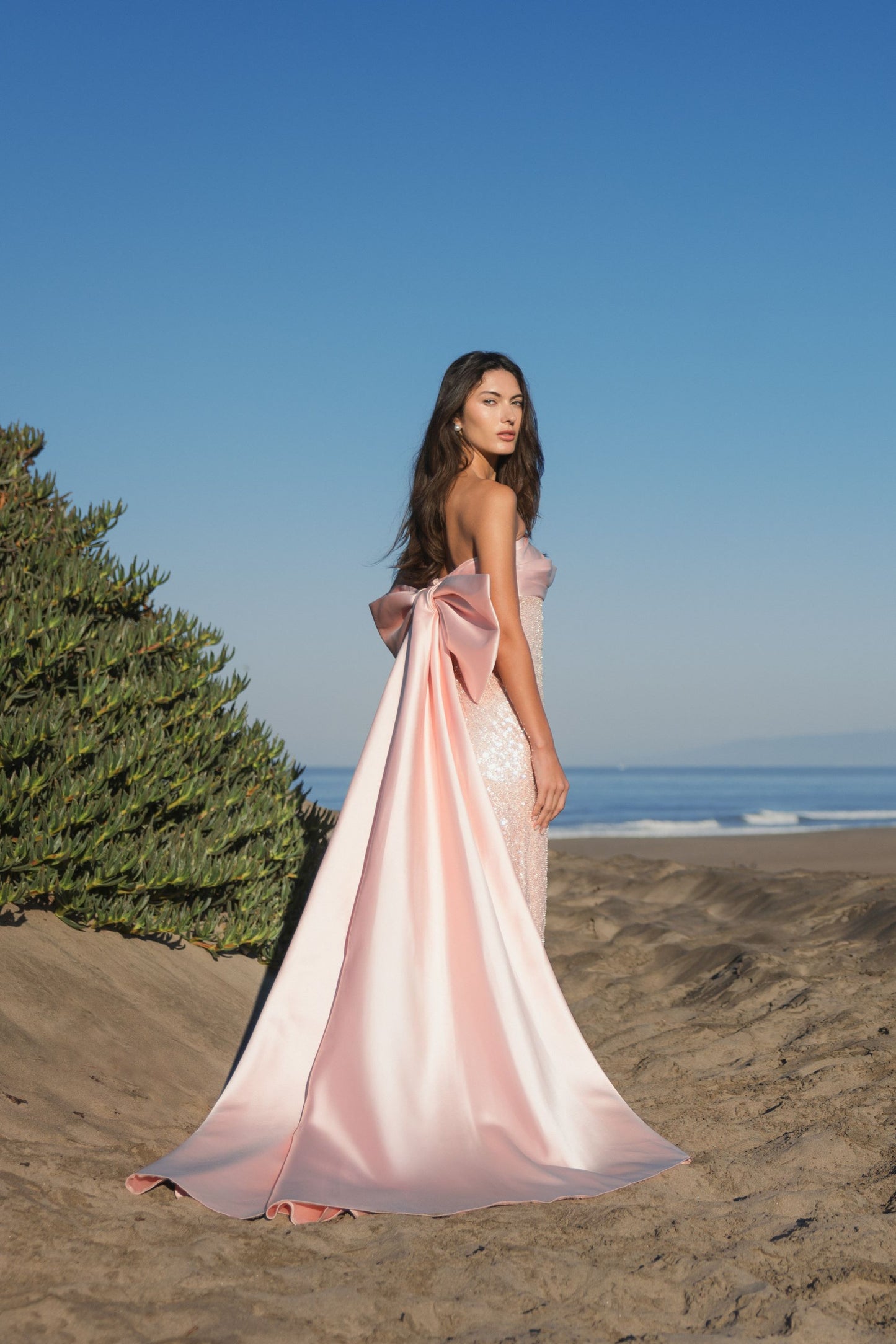 Pink Strapless Embellished Gown With Back Bow Detail