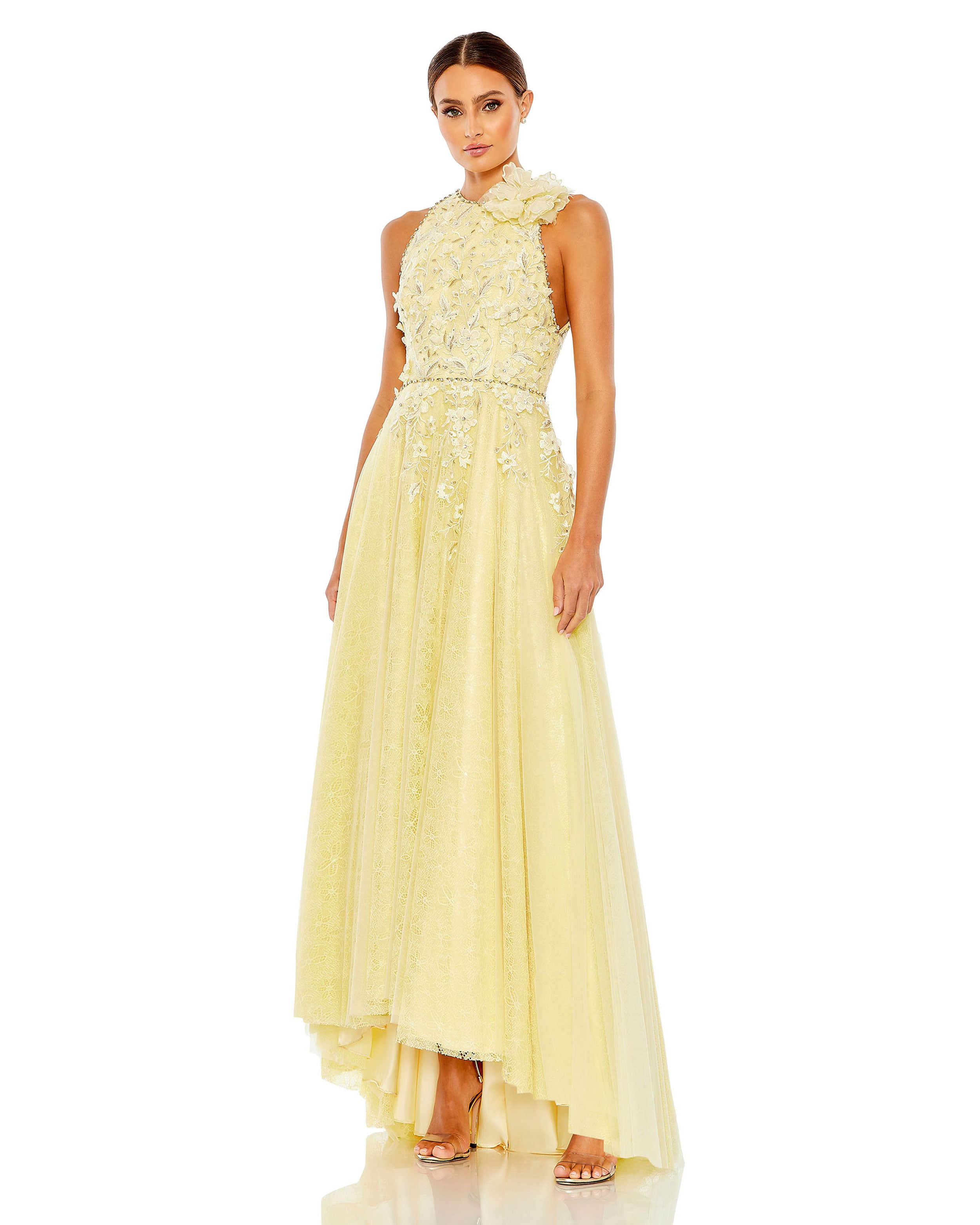 Embellished High Neck Sleeveless A Line Gown