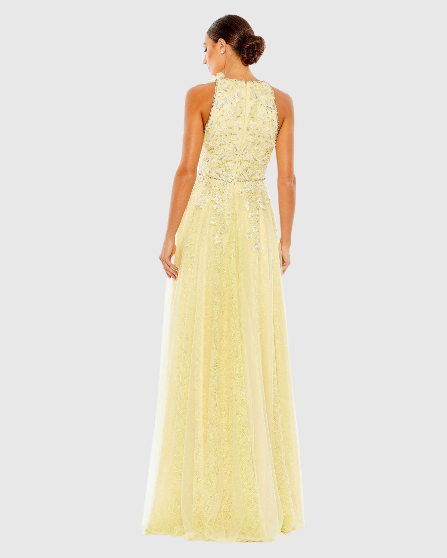 Embellished High Neck Sleeveless A Line Gown