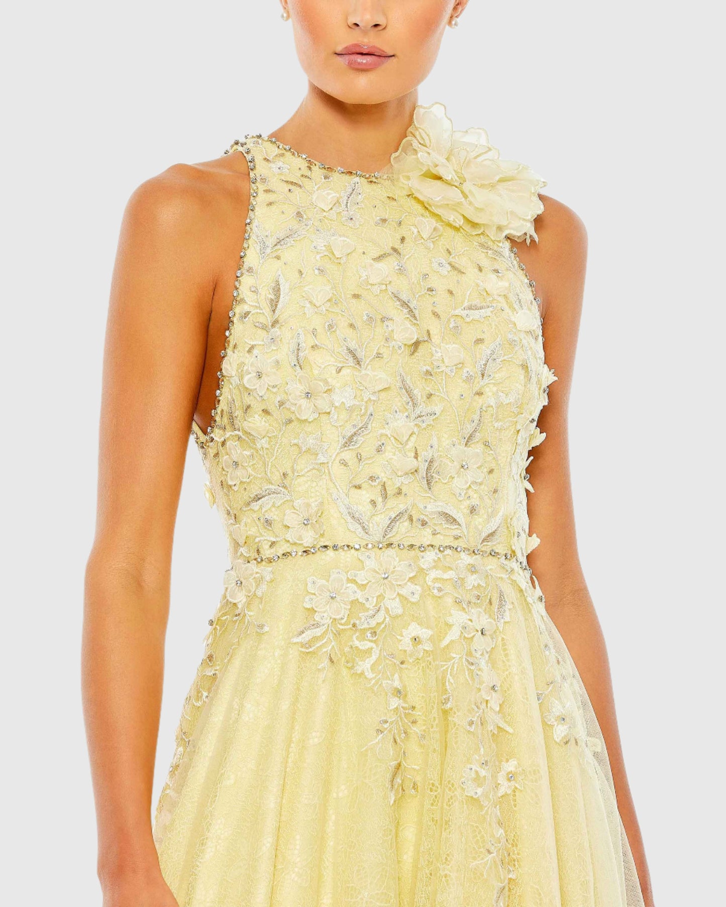 Embellished High Neck Sleeveless A Line Gown