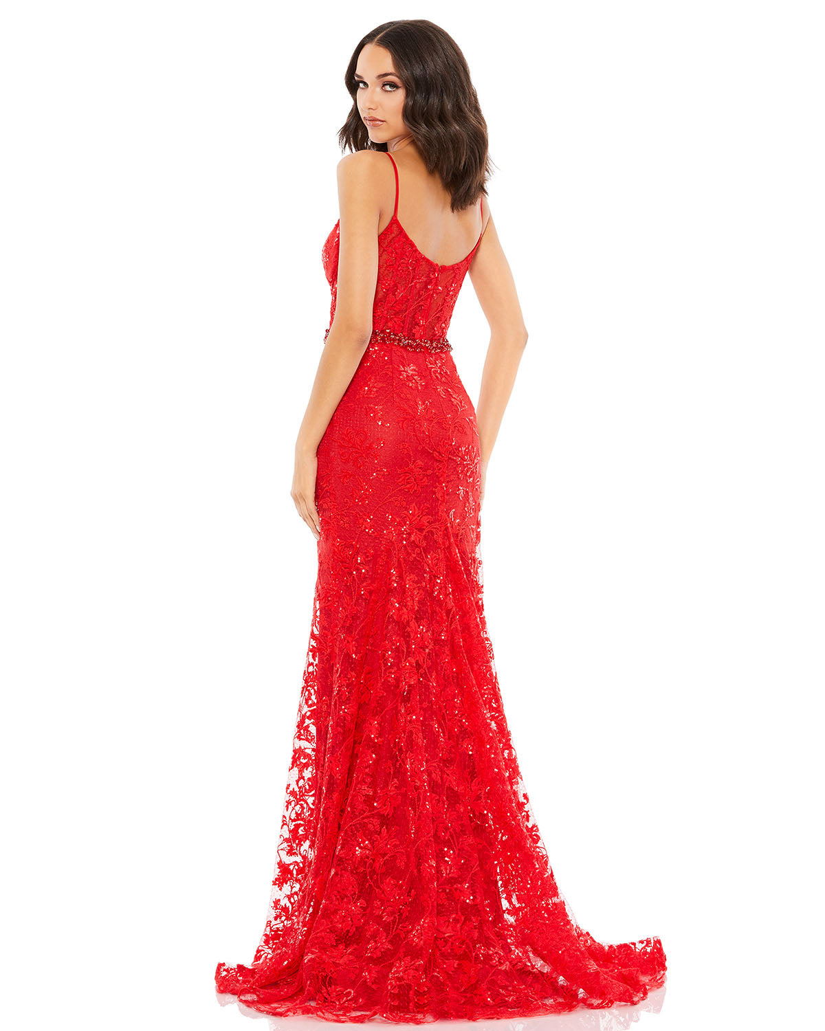 Embroidered Illusion Bodice Sleeveless Trumpet Gown