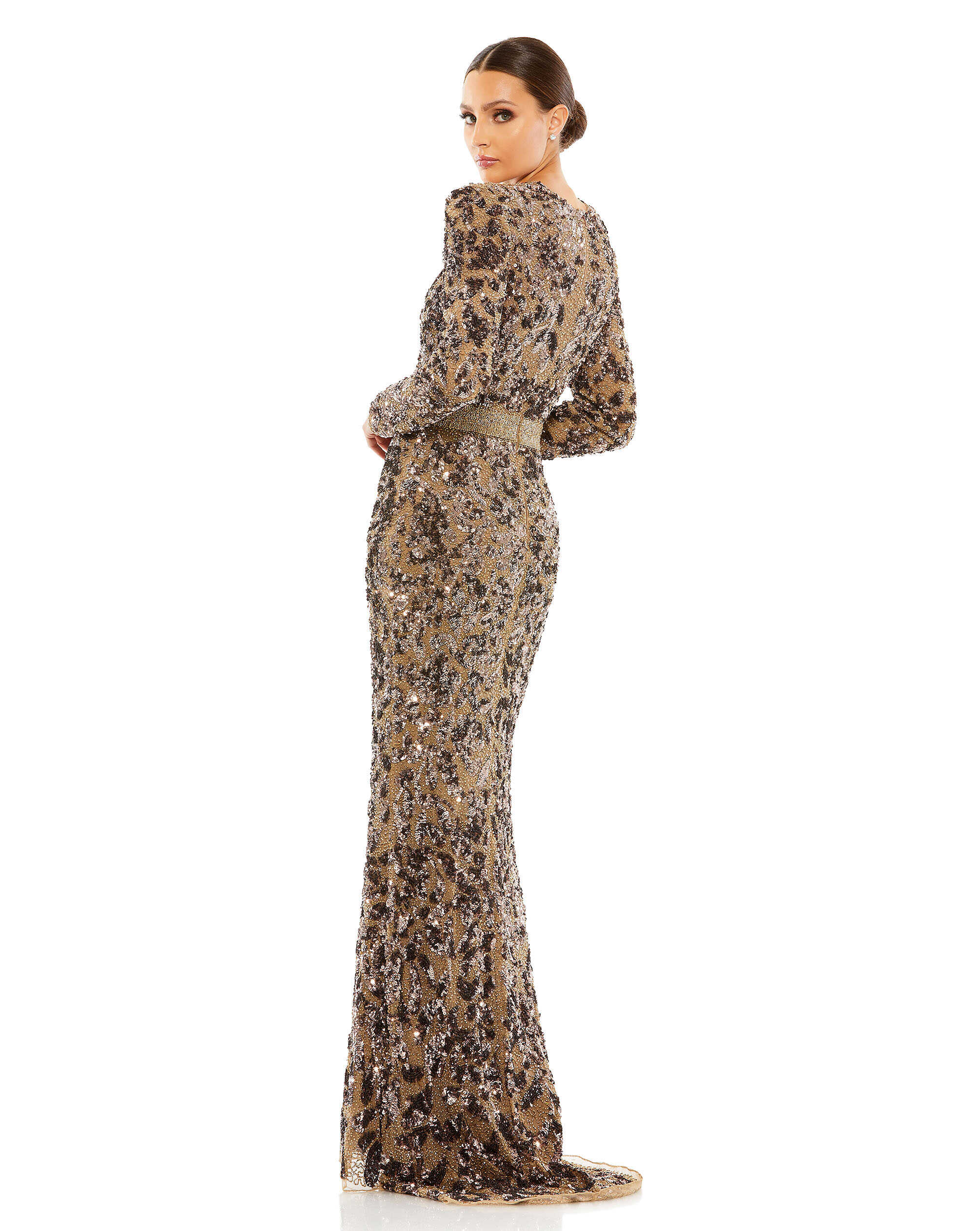 Embellished Long Sleeve Illusion Gown