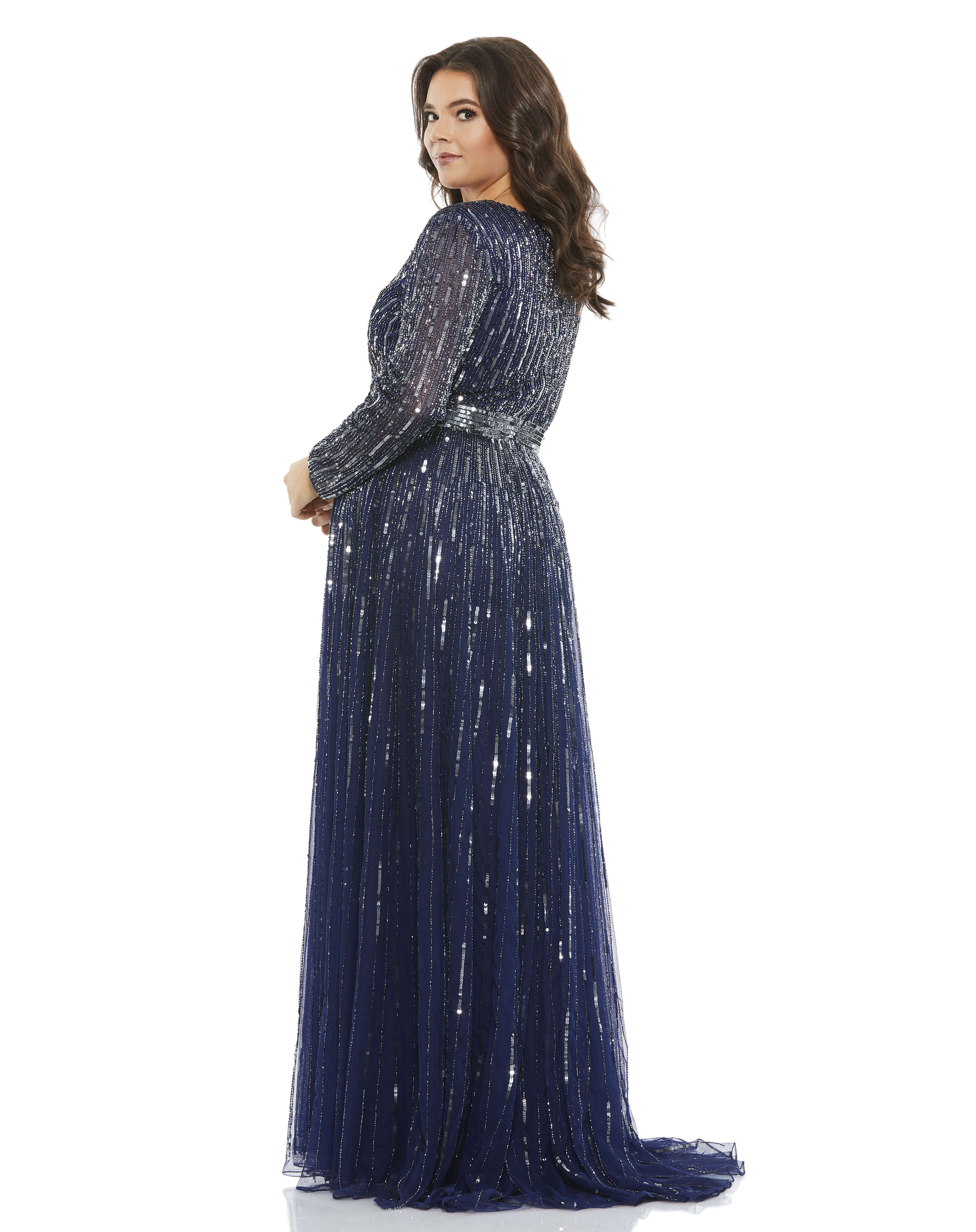 Embellished Illusion Long Sleeve V Neck A Line Gown (Plus)