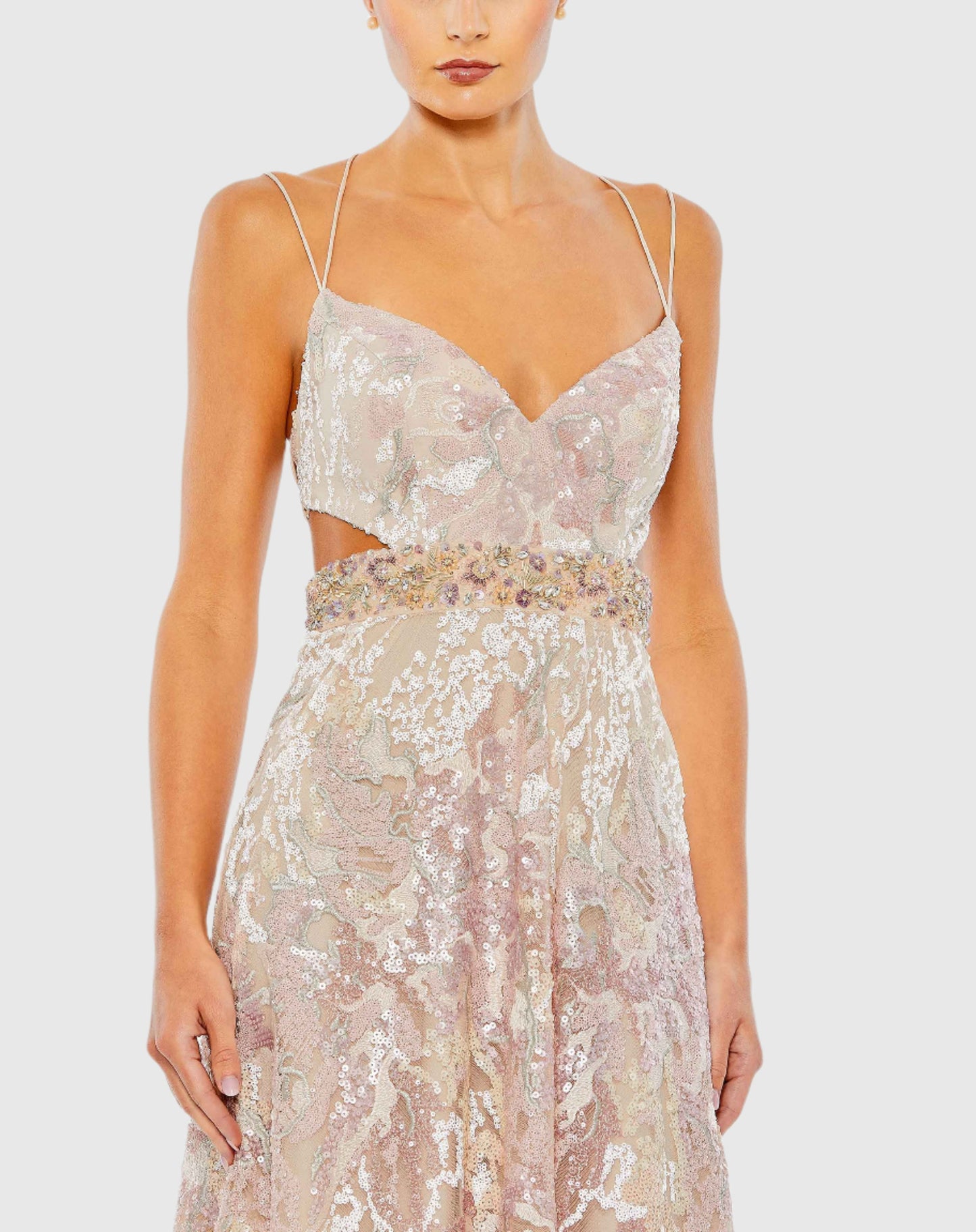 Embellished V-Neck A Line Gown