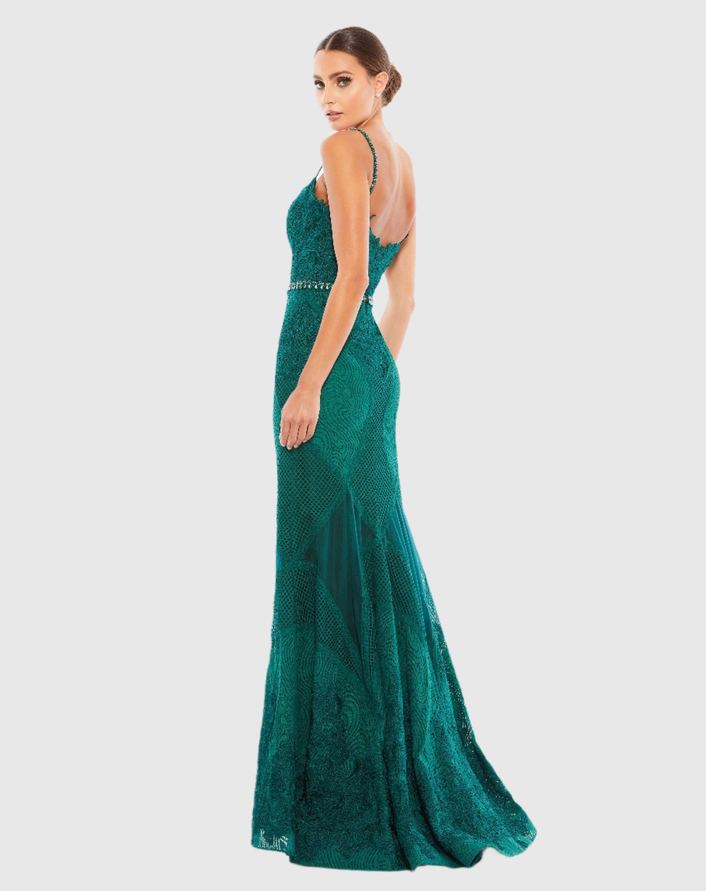 Embroidered Sleeveless Plunge Neck Trumpet Gown