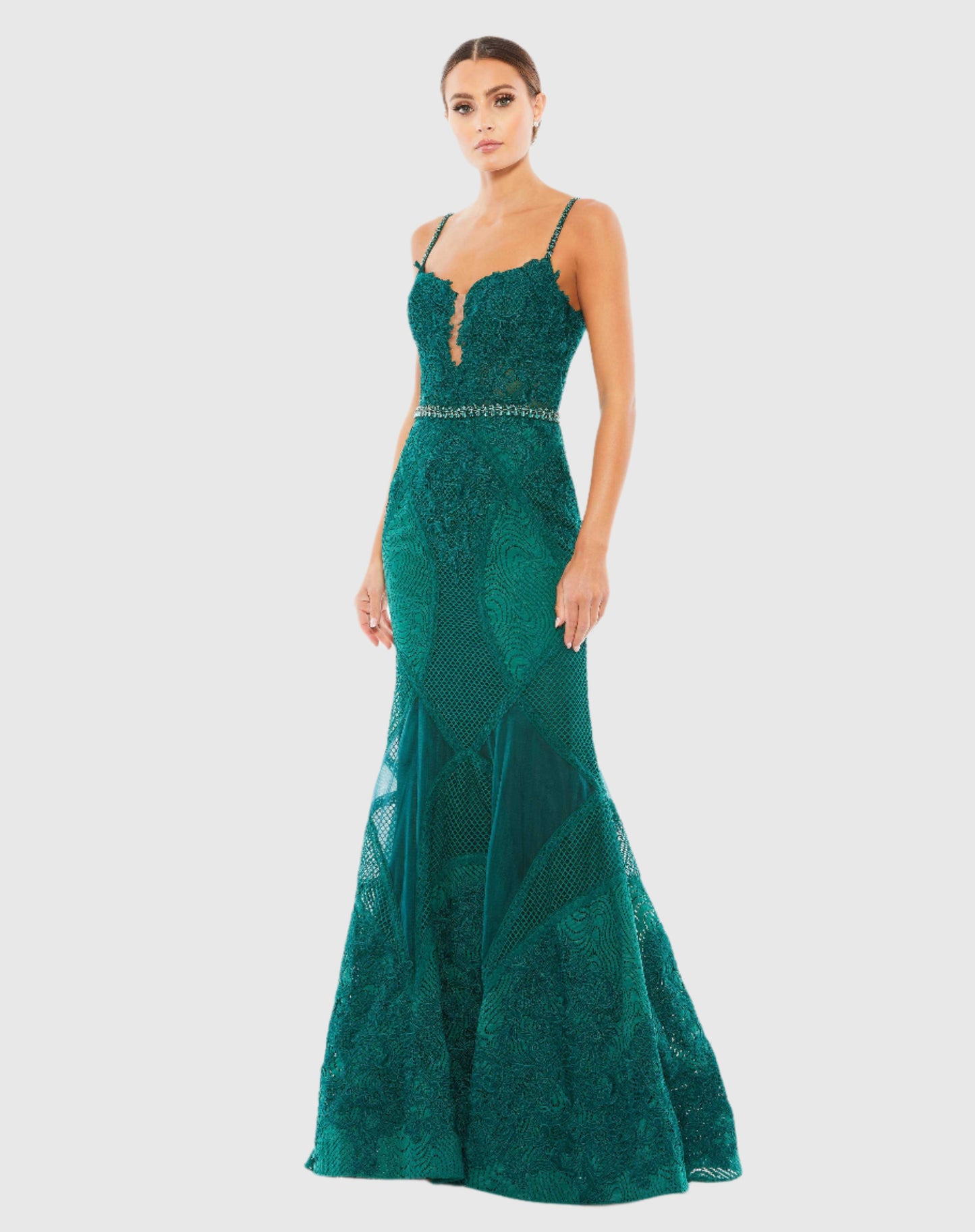 Embroidered Sleeveless Plunge Neck Trumpet Gown