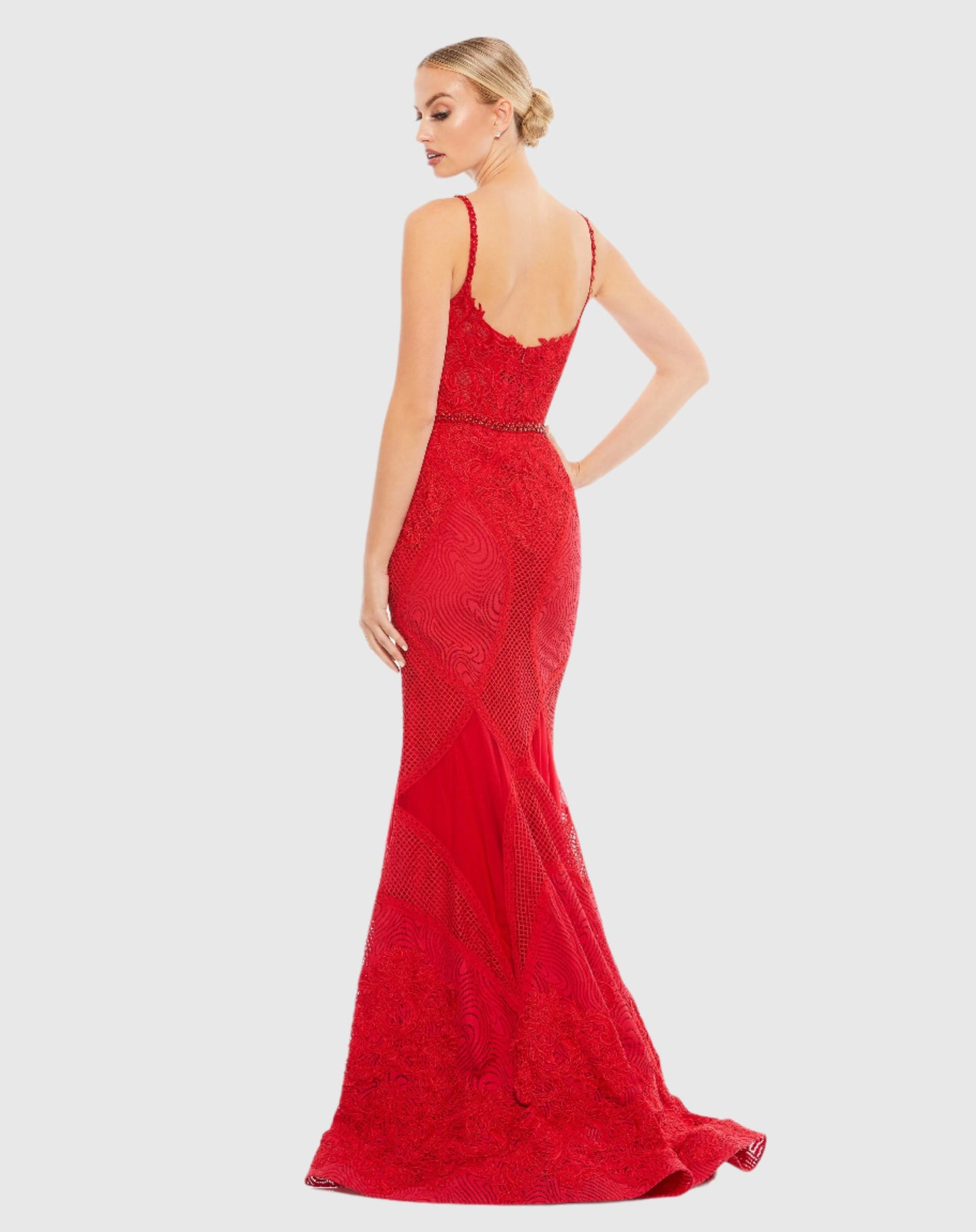 Embroidered Sleeveless Plunge Neck Trumpet Gown