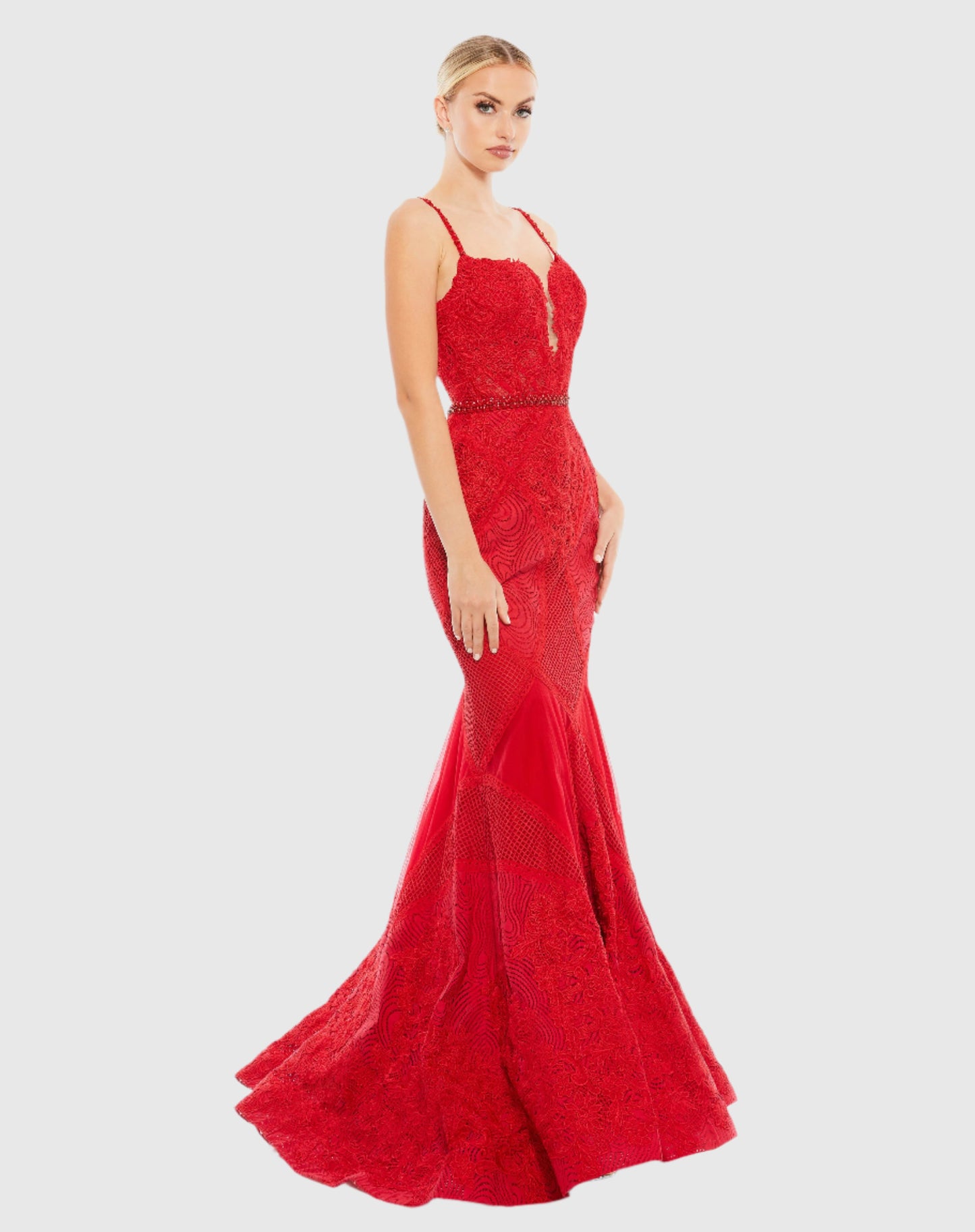 Embroidered Sleeveless Plunge Neck Trumpet Gown