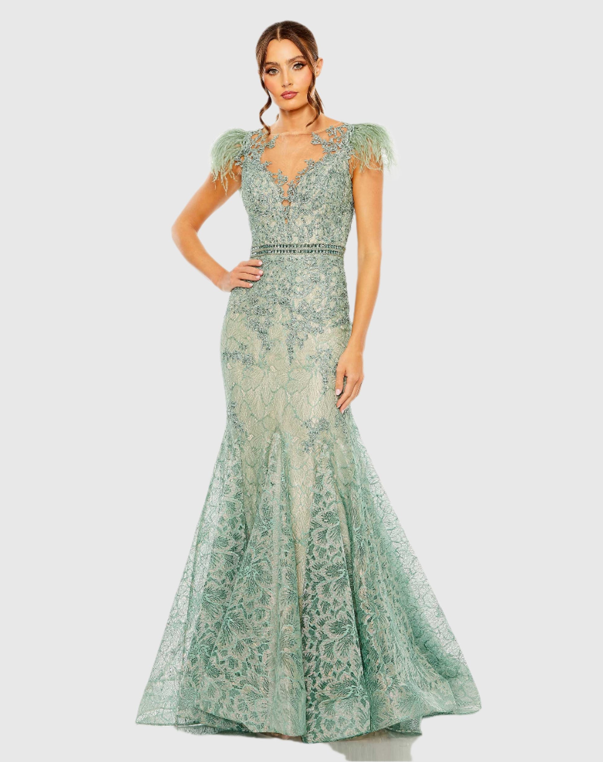 Embellished Feather Cap Sleeve Illusion Neck Trumpet Gown