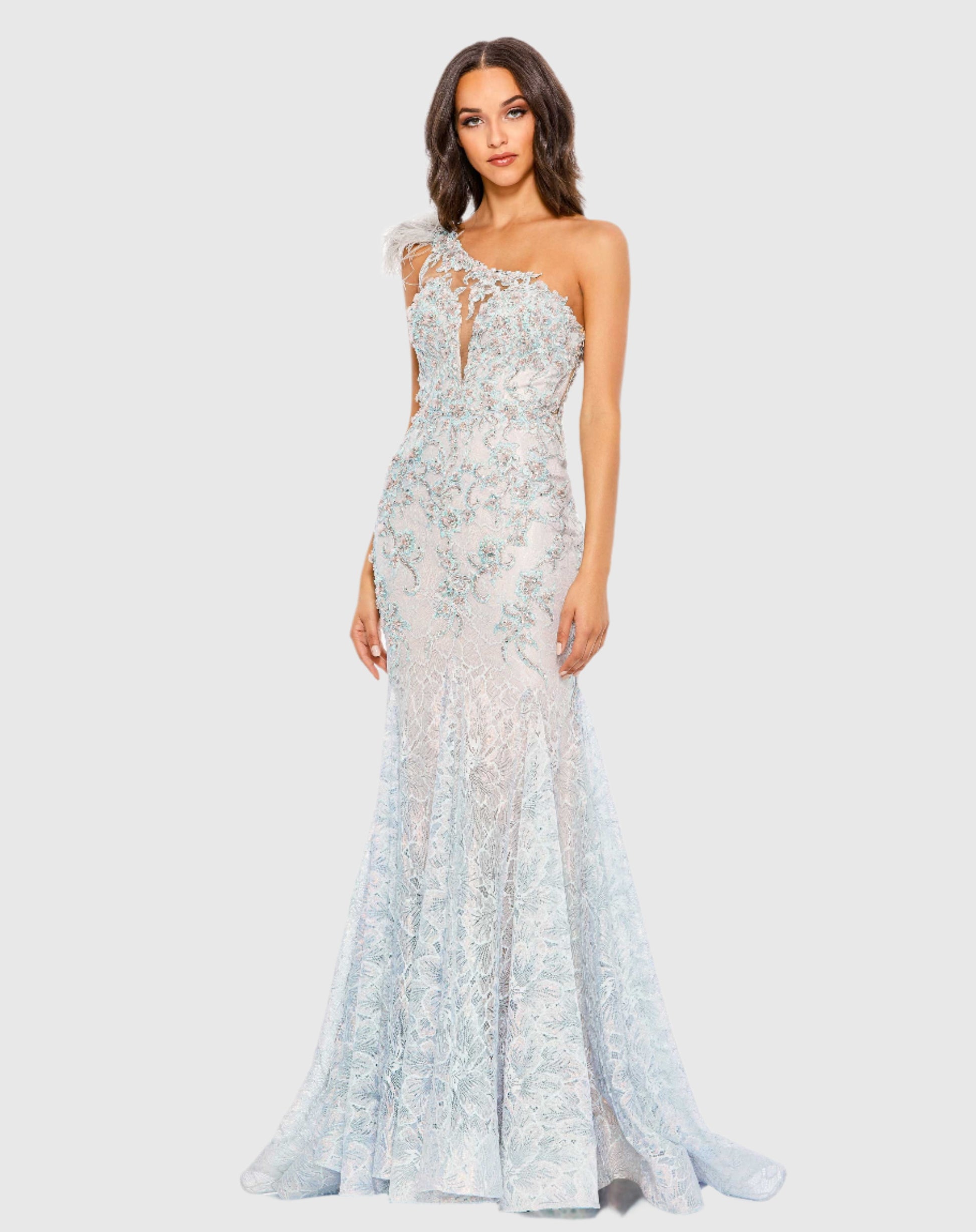 Embroidered Applique Feathered One Shoulder Gown