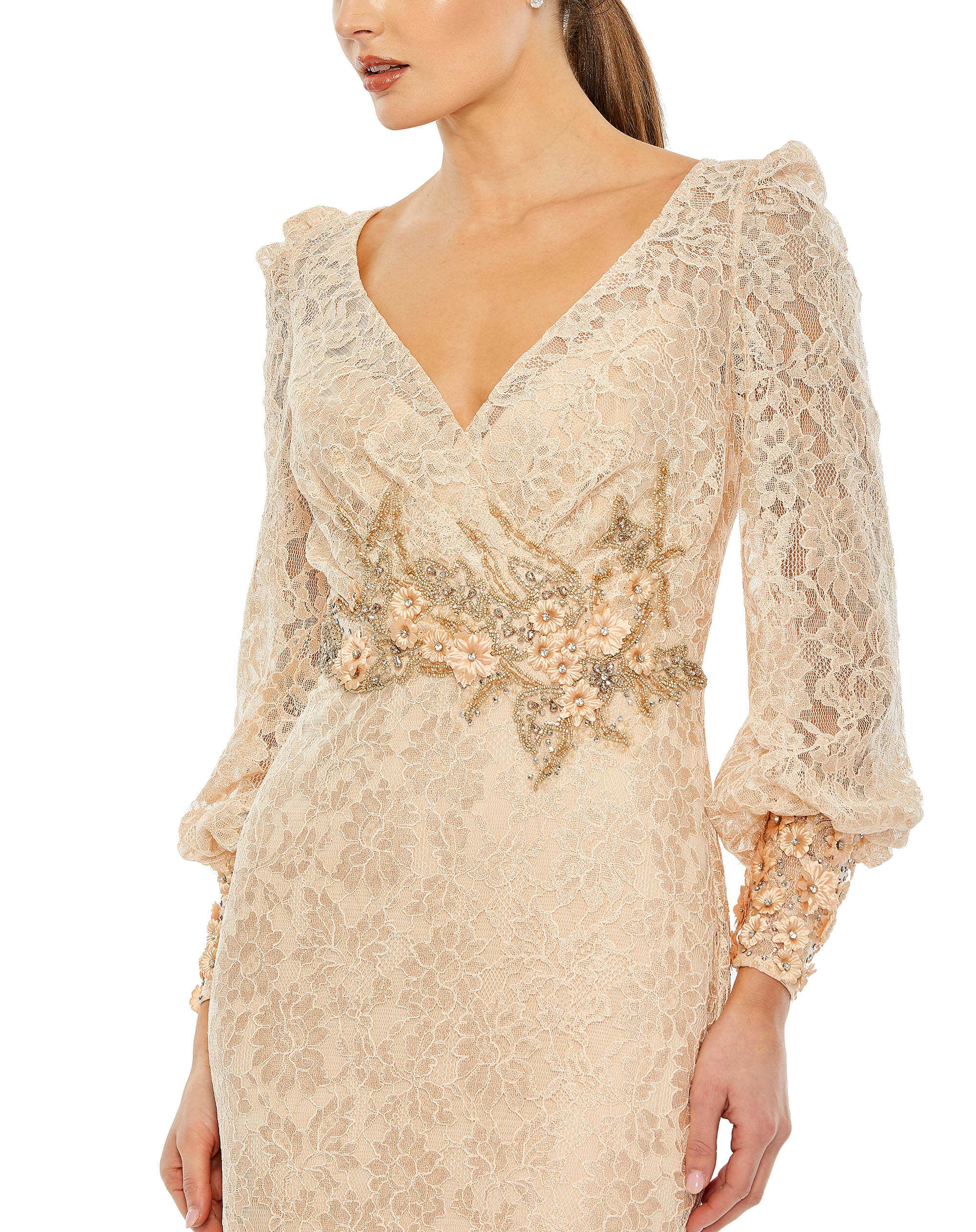 Lace Long Sleeve V Neck Embellished Gown