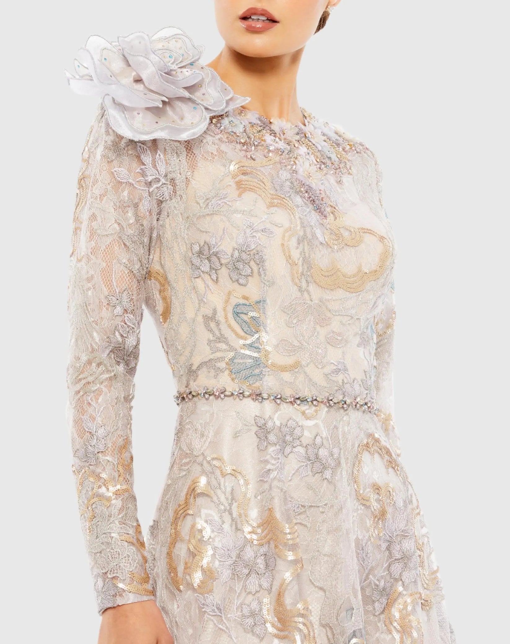 Embellished Long Sleeve High Neck Rose Applique Dress – Mac Duggal